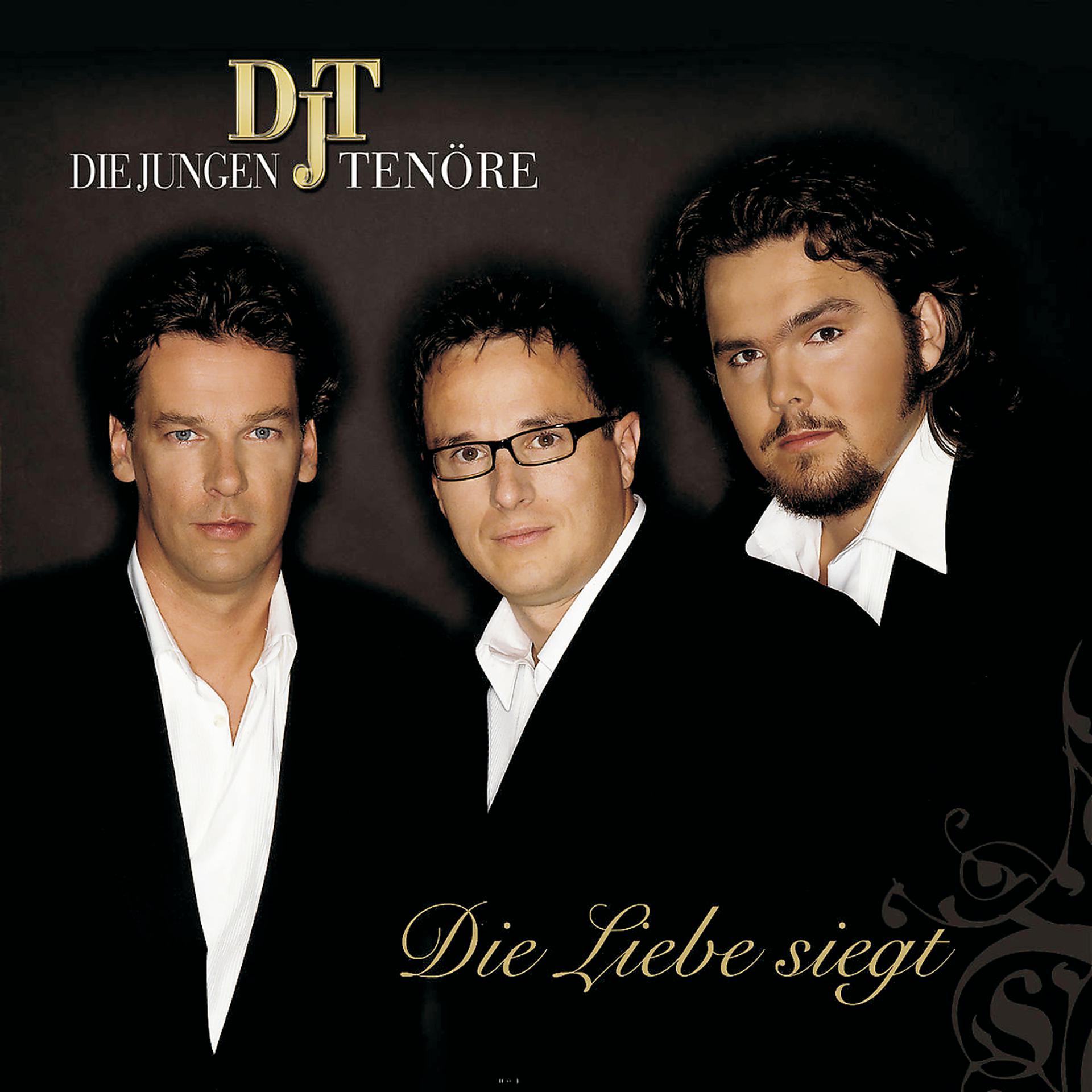 Постер альбома Die Liebe siegt