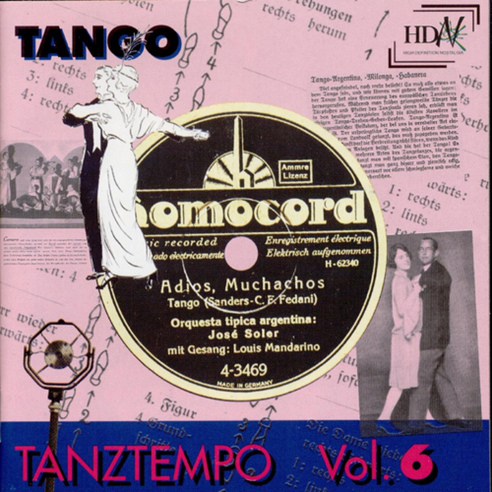 Постер альбома Tanztempo Vol.6 - Tango