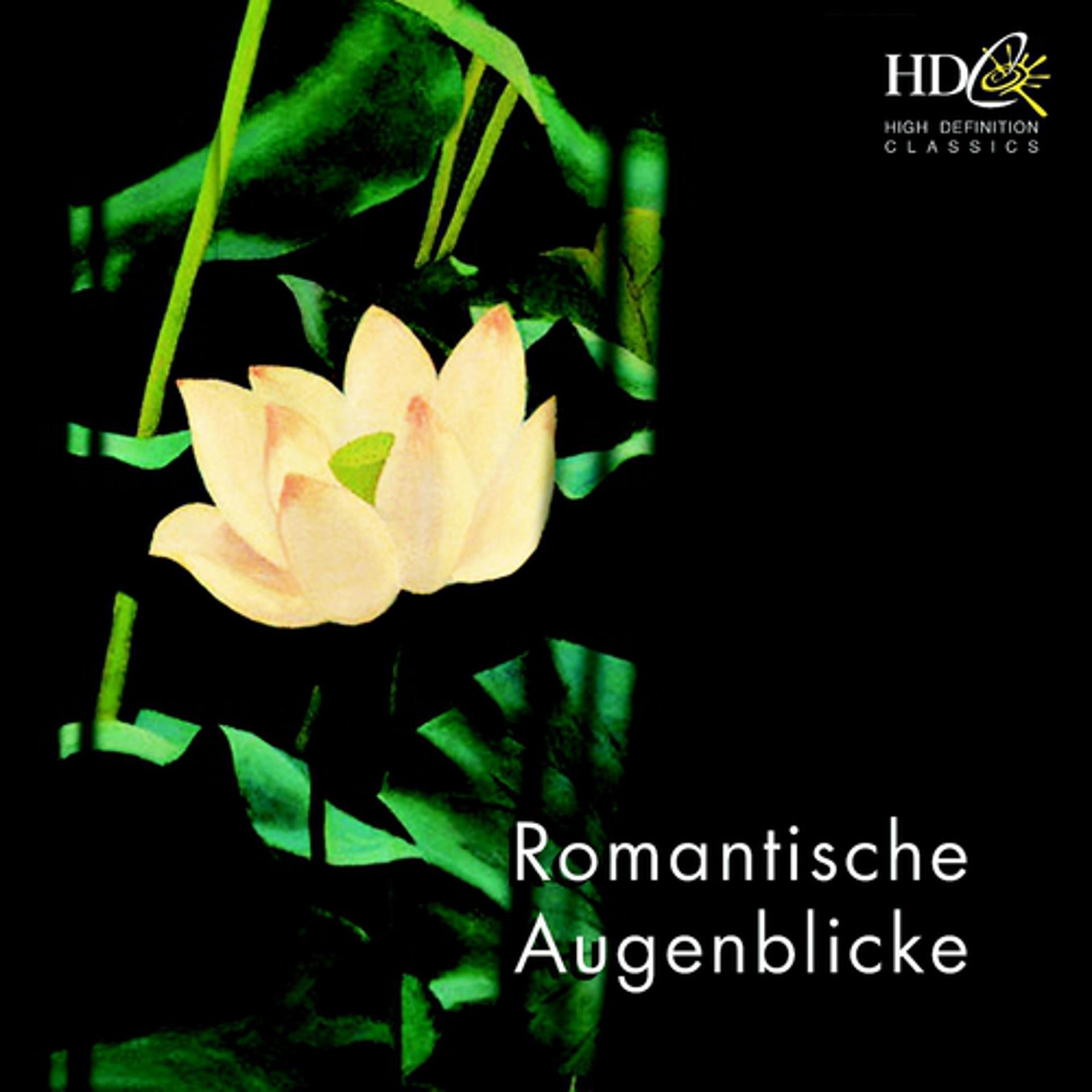Постер альбома Romantische Augenblicke