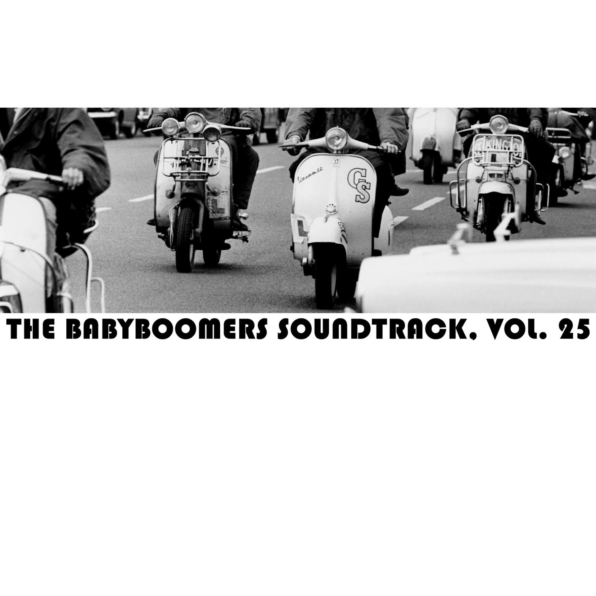 Постер альбома The Babyboomer's Soundtrack, Vol. 25