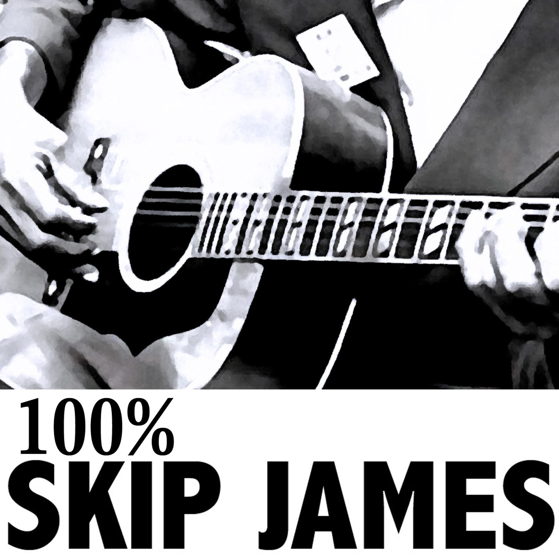 Постер альбома 100% Skip James