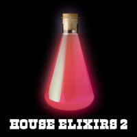 Постер альбома House Elixirs 2