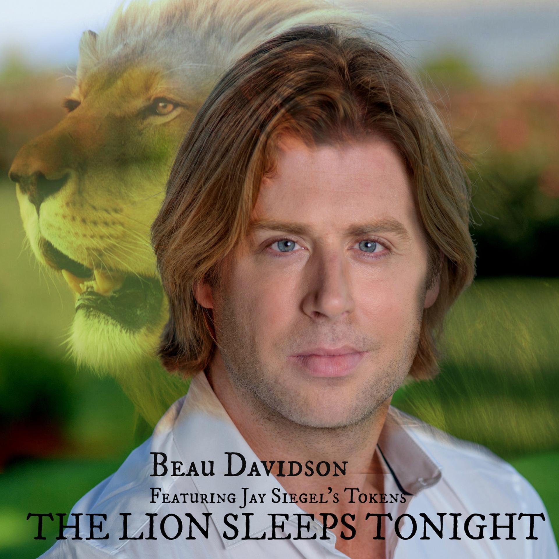Постер альбома The Lion Sleeps Tonight
