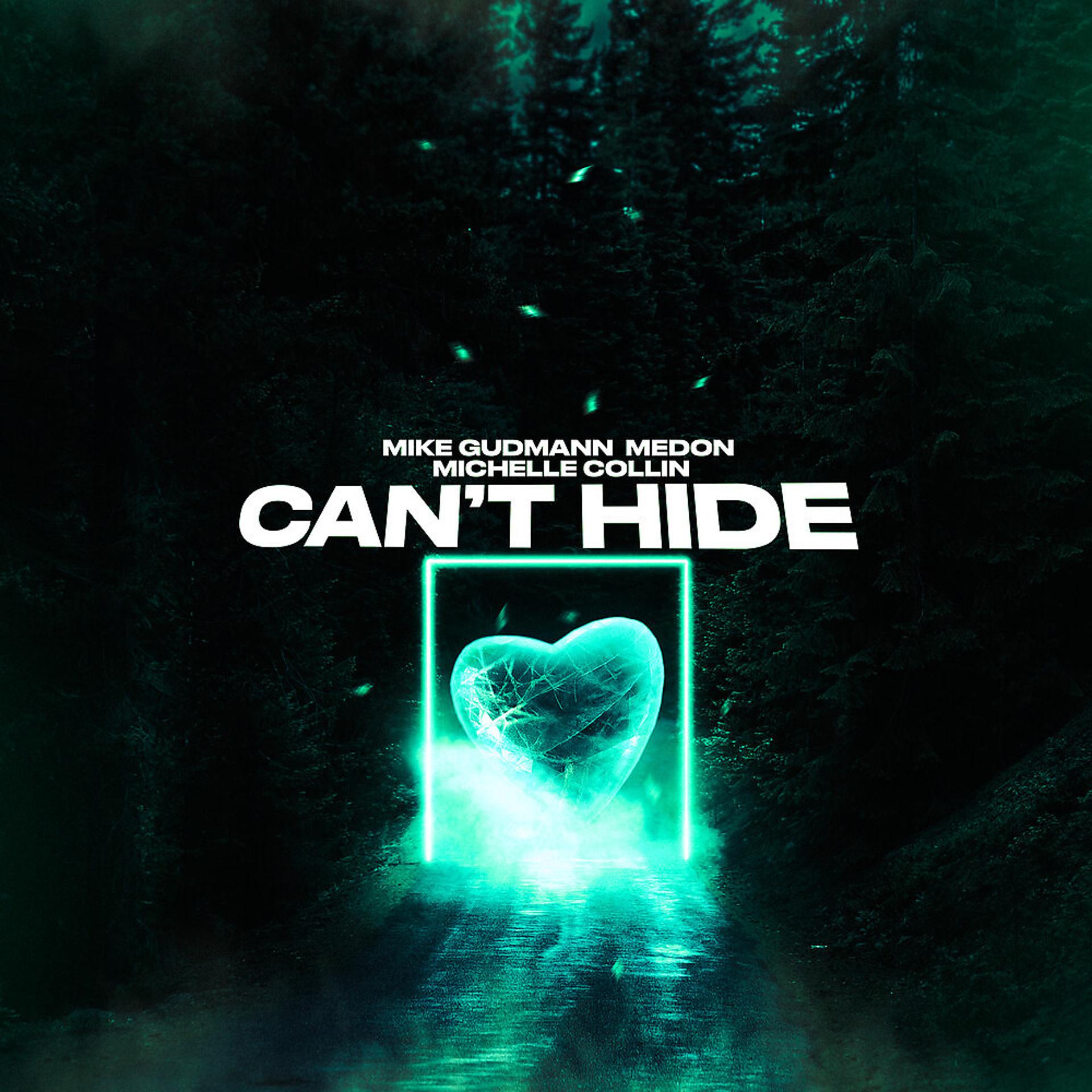 Постер альбома Can't Hide