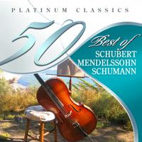 Постер альбома 50 Best of Schubert, Mendelssohn, Schumann