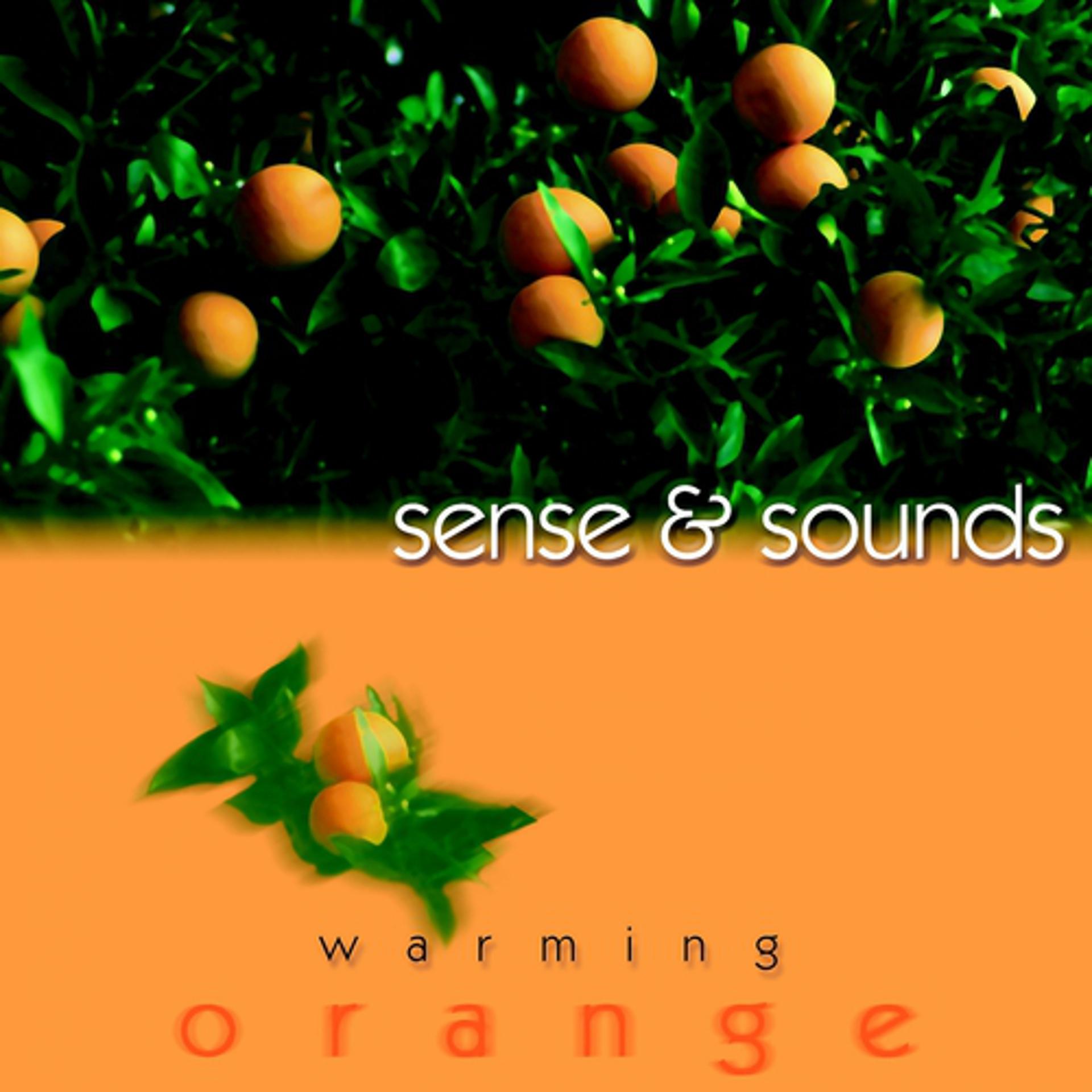 Постер альбома Warming Orange