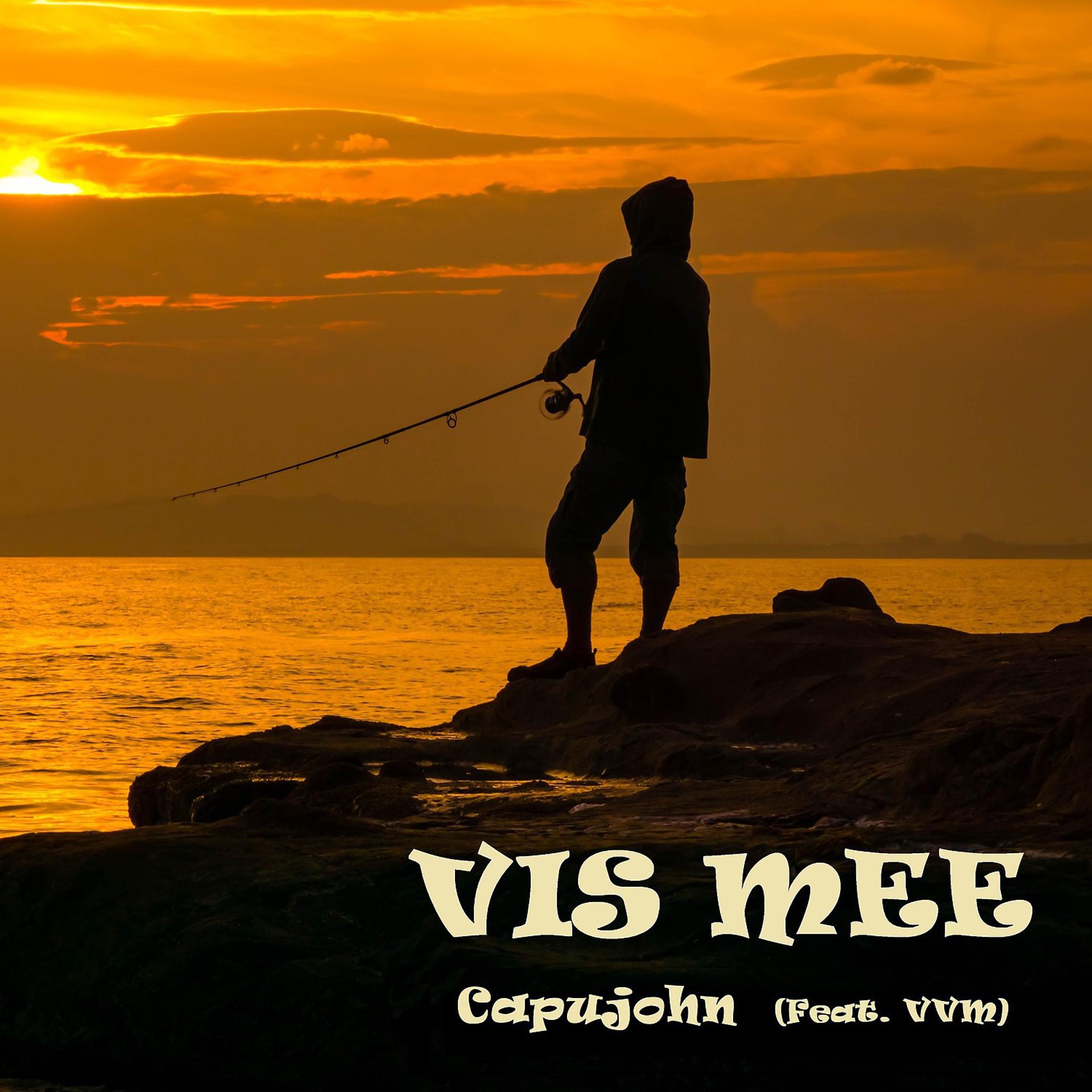 Постер альбома Vis Mee