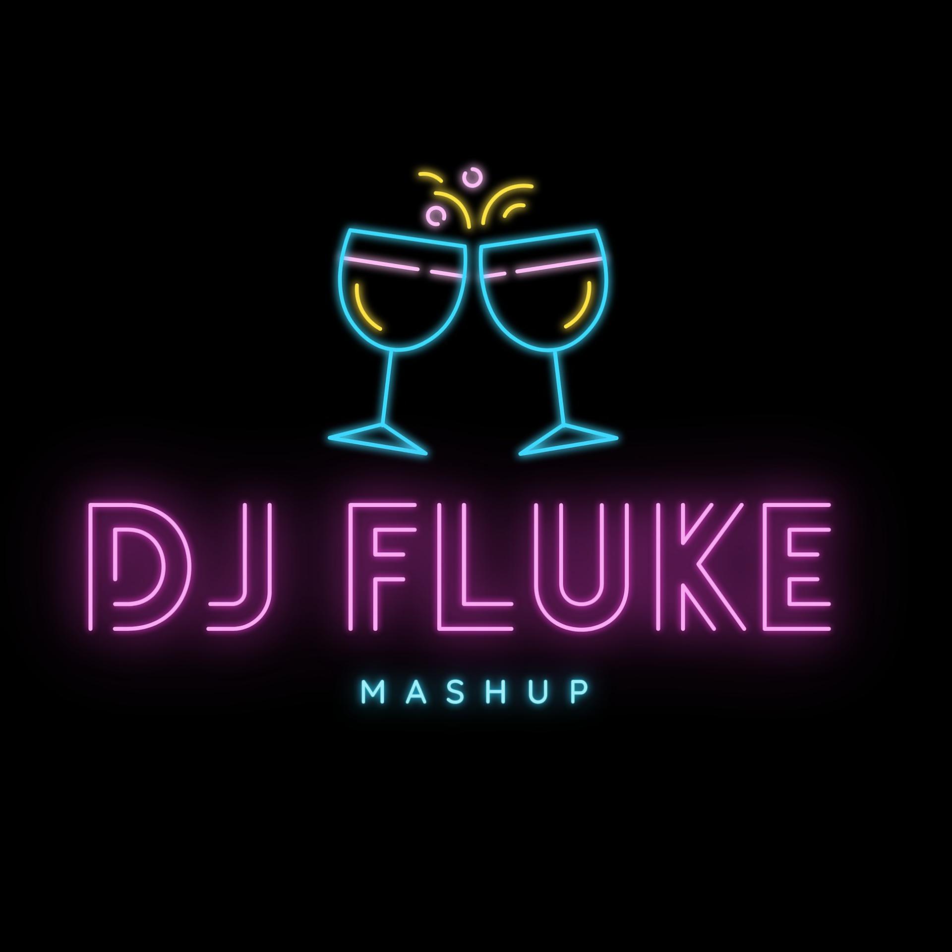 Постер альбома DJ Fluke Mashup