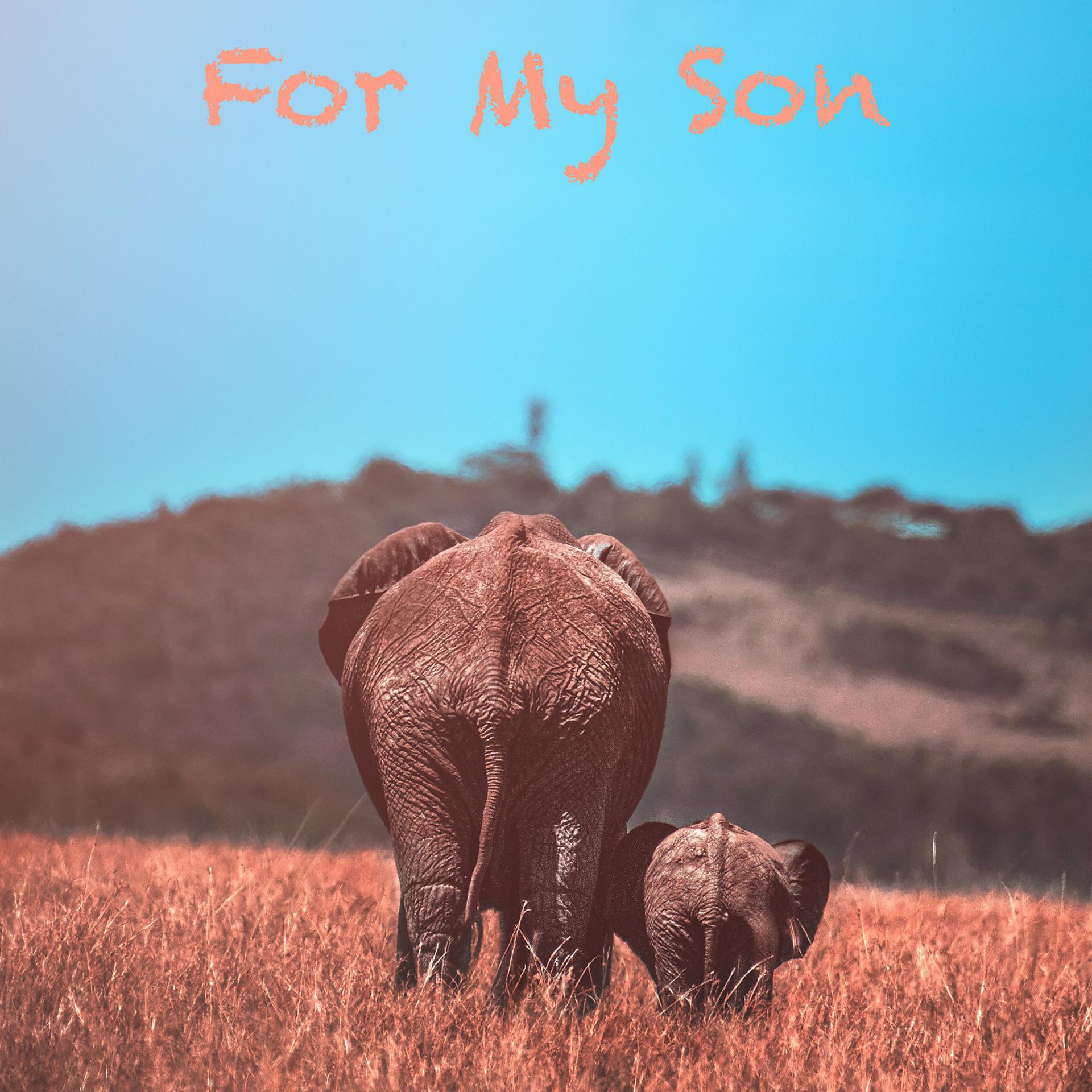 Постер альбома For My Son