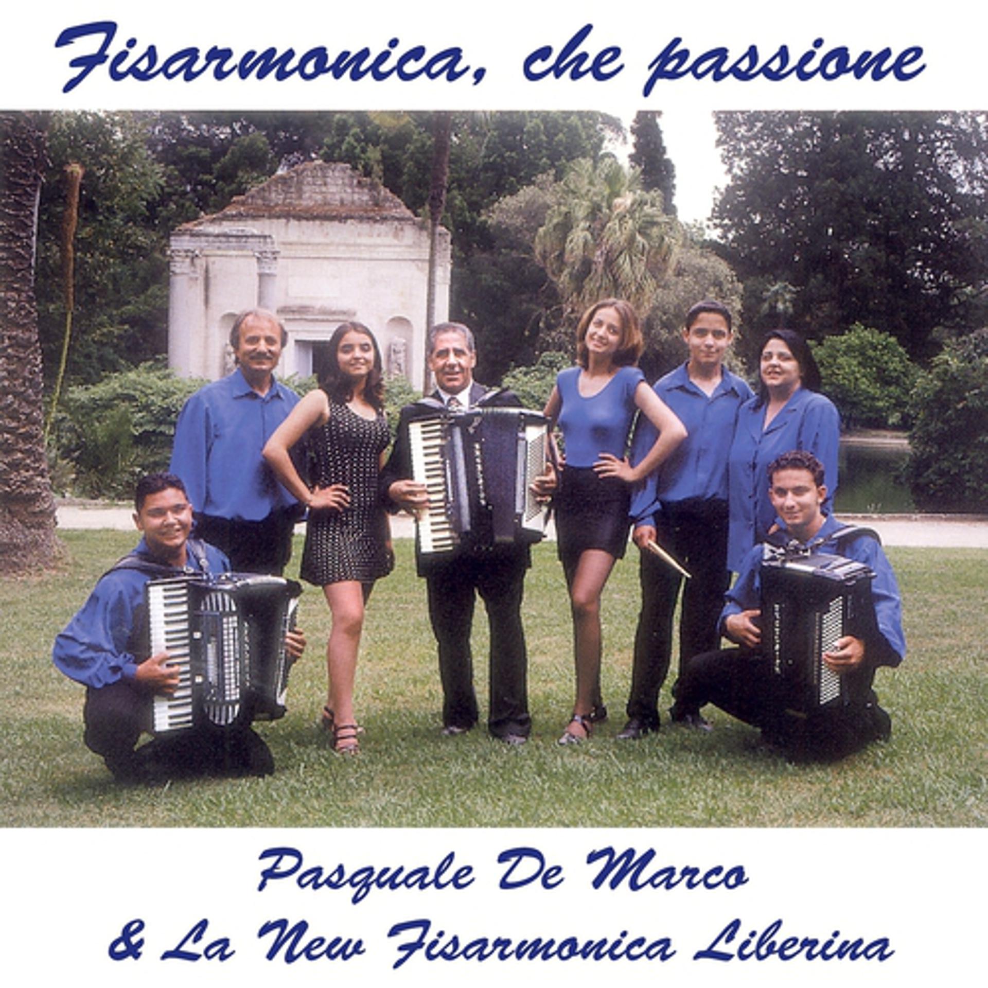 Постер альбома Fisarmonica, che passione (Grandi successi dell'autore e brani celebri di ballo liscio)
