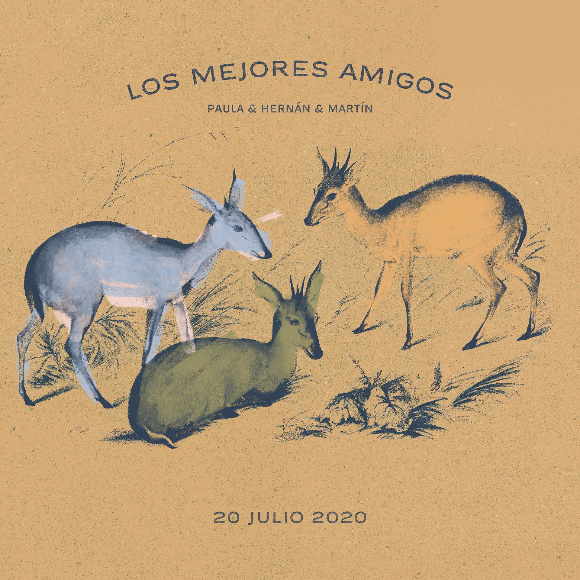 Постер альбома Los Mejores Amigos