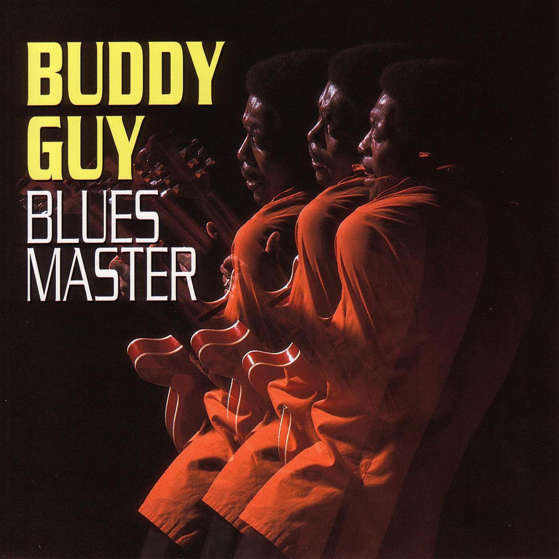 Постер к треку Buddy Guy - A Man And The Blues