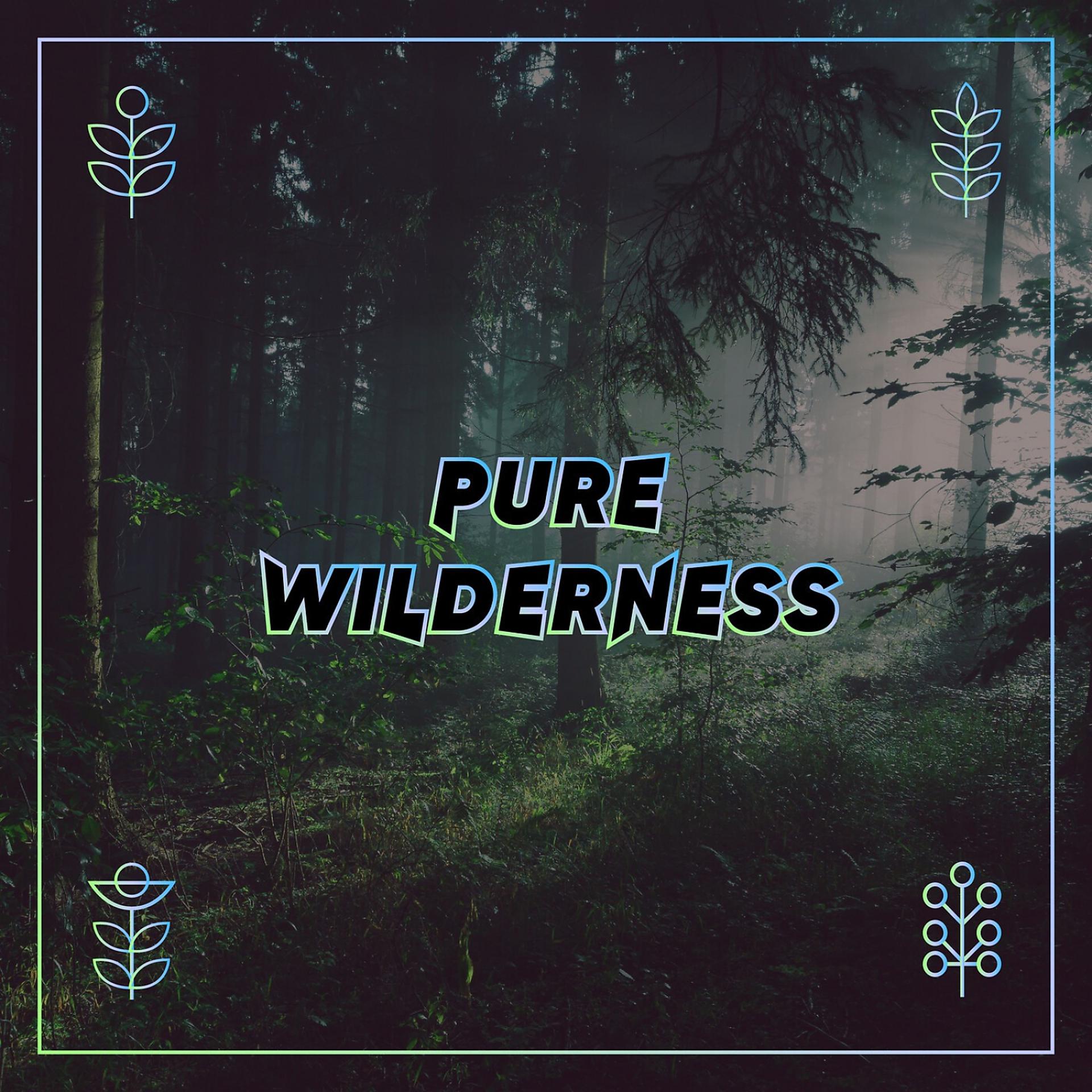 Постер альбома Pure Wilderness