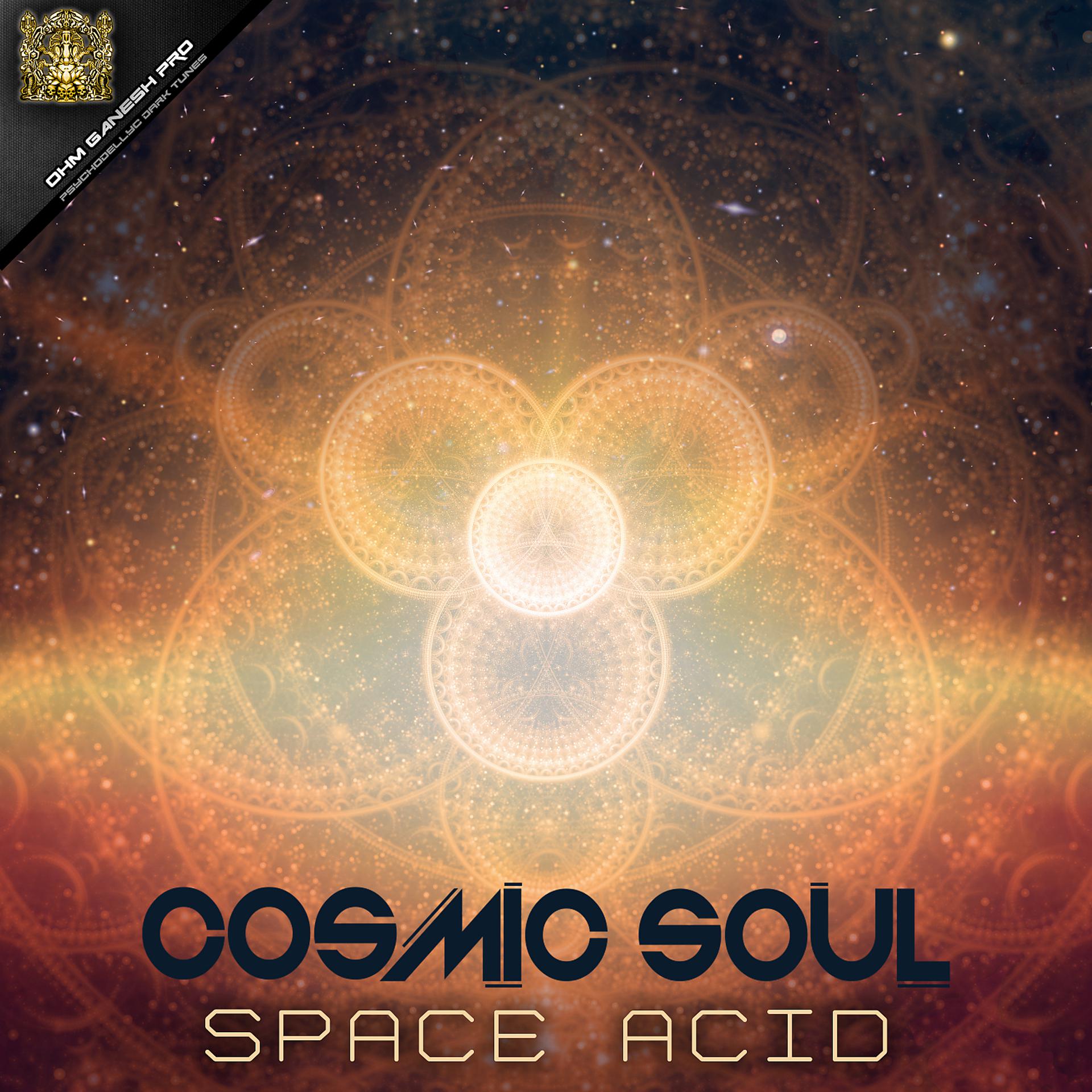 Постер альбома Space Acid