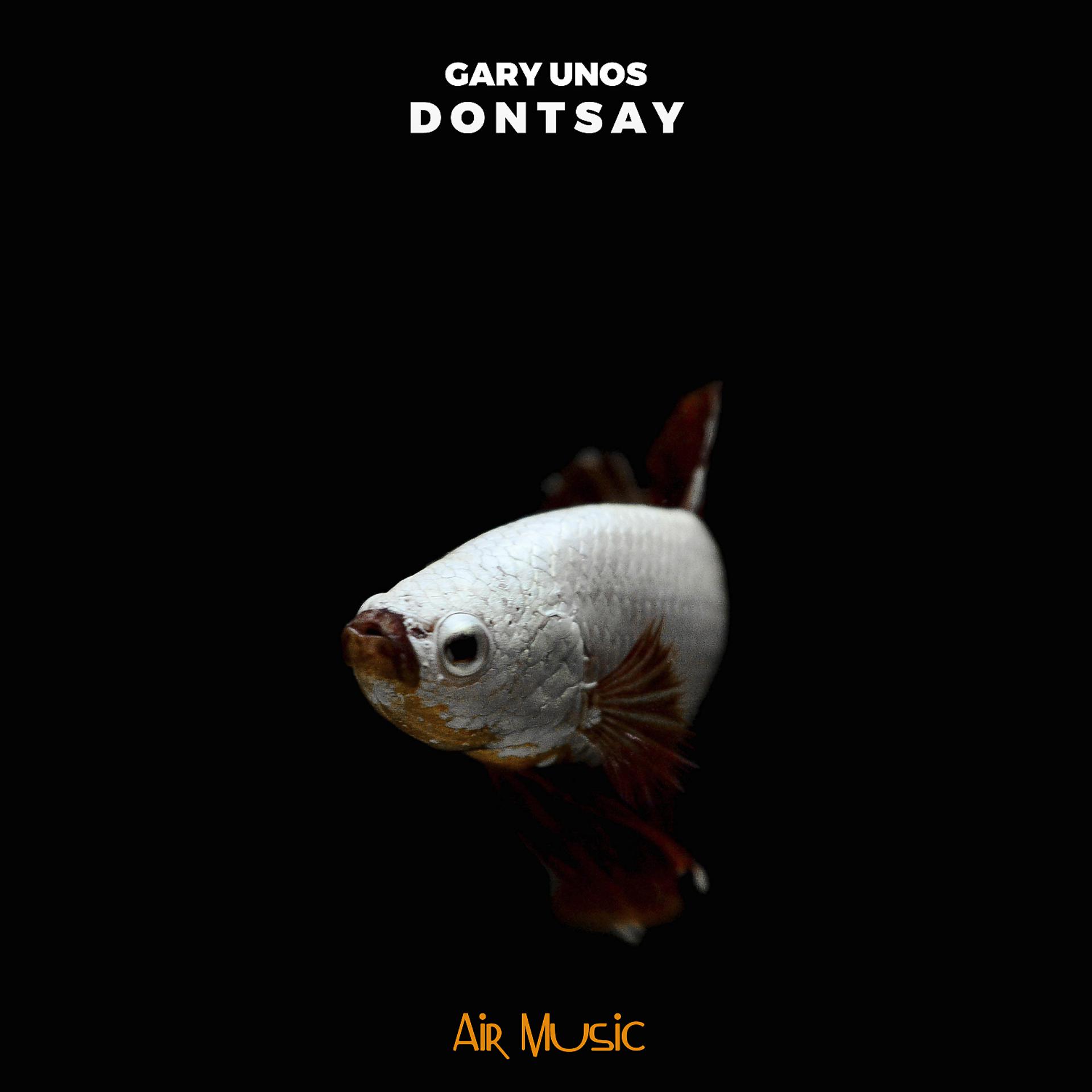 Постер альбома Dontsay