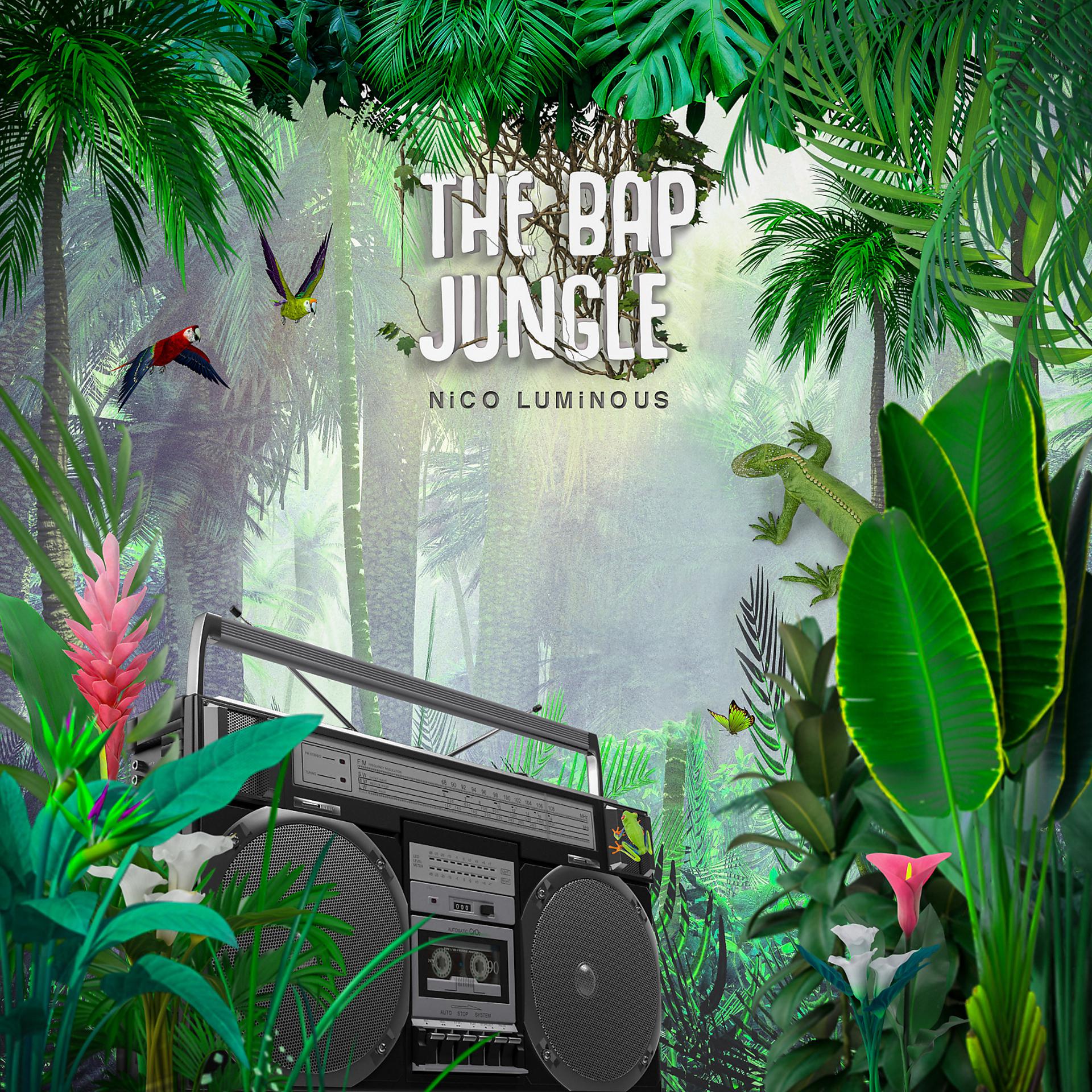 Постер альбома The Bap Jungle