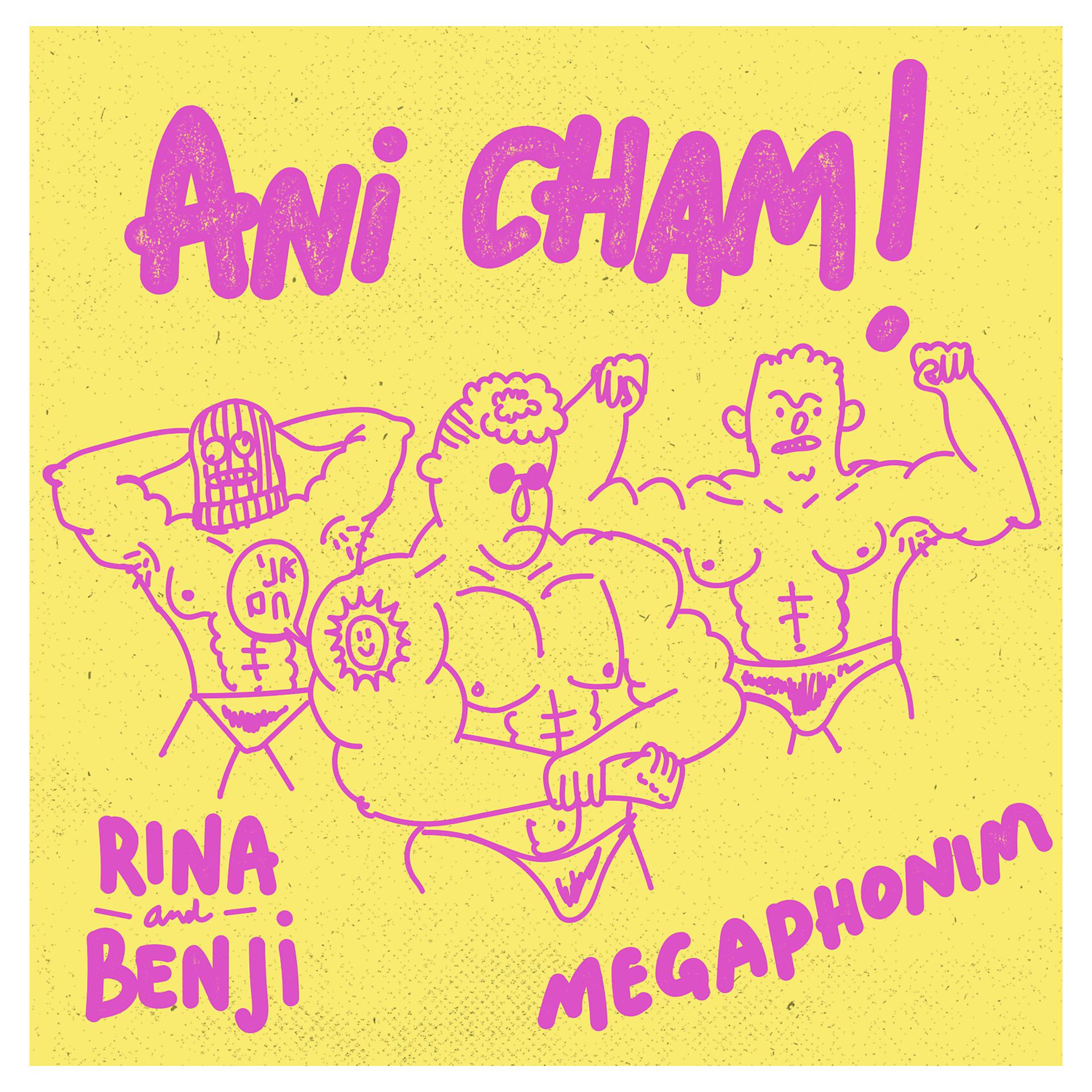 Постер альбома Ani Cham