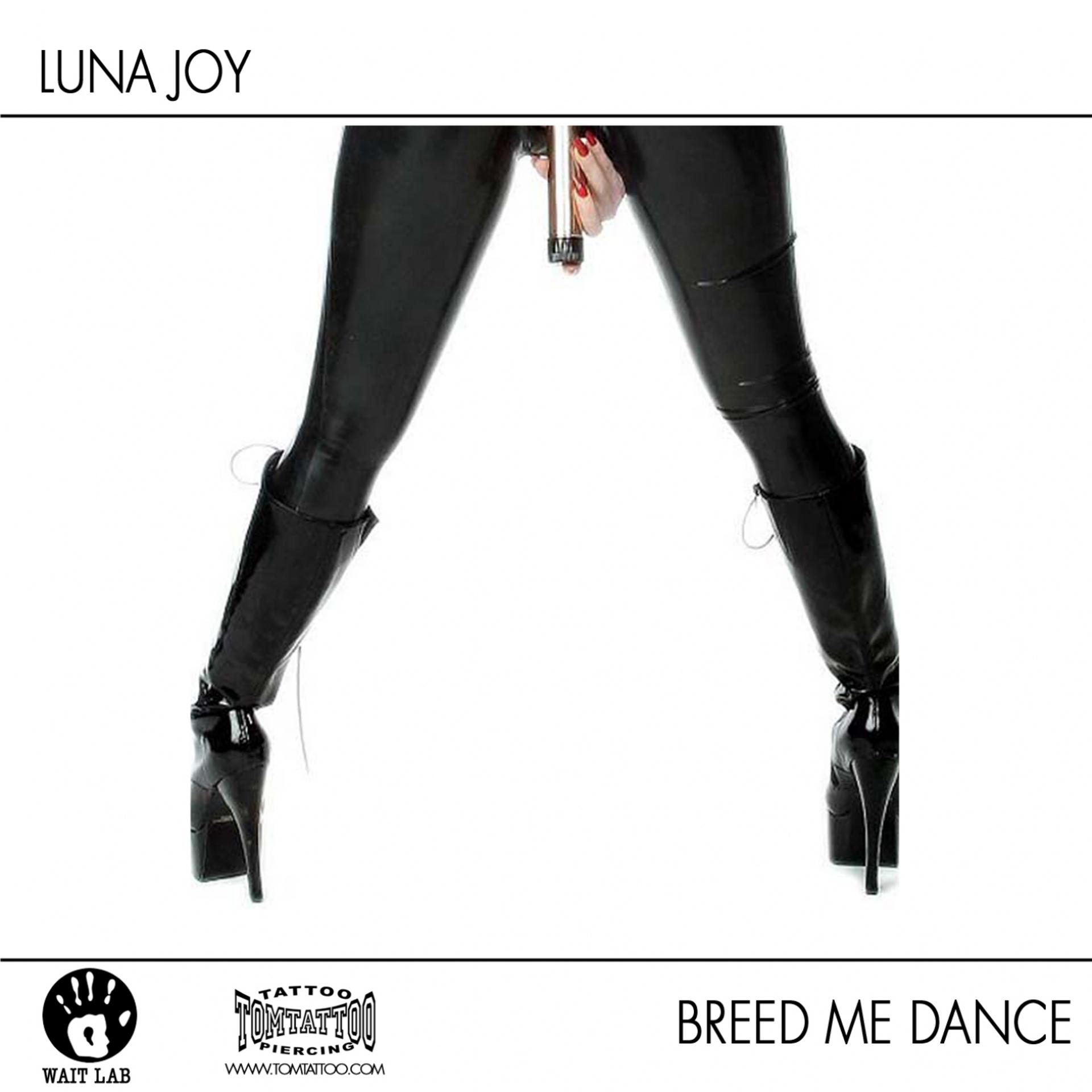 Постер альбома Breed me dance