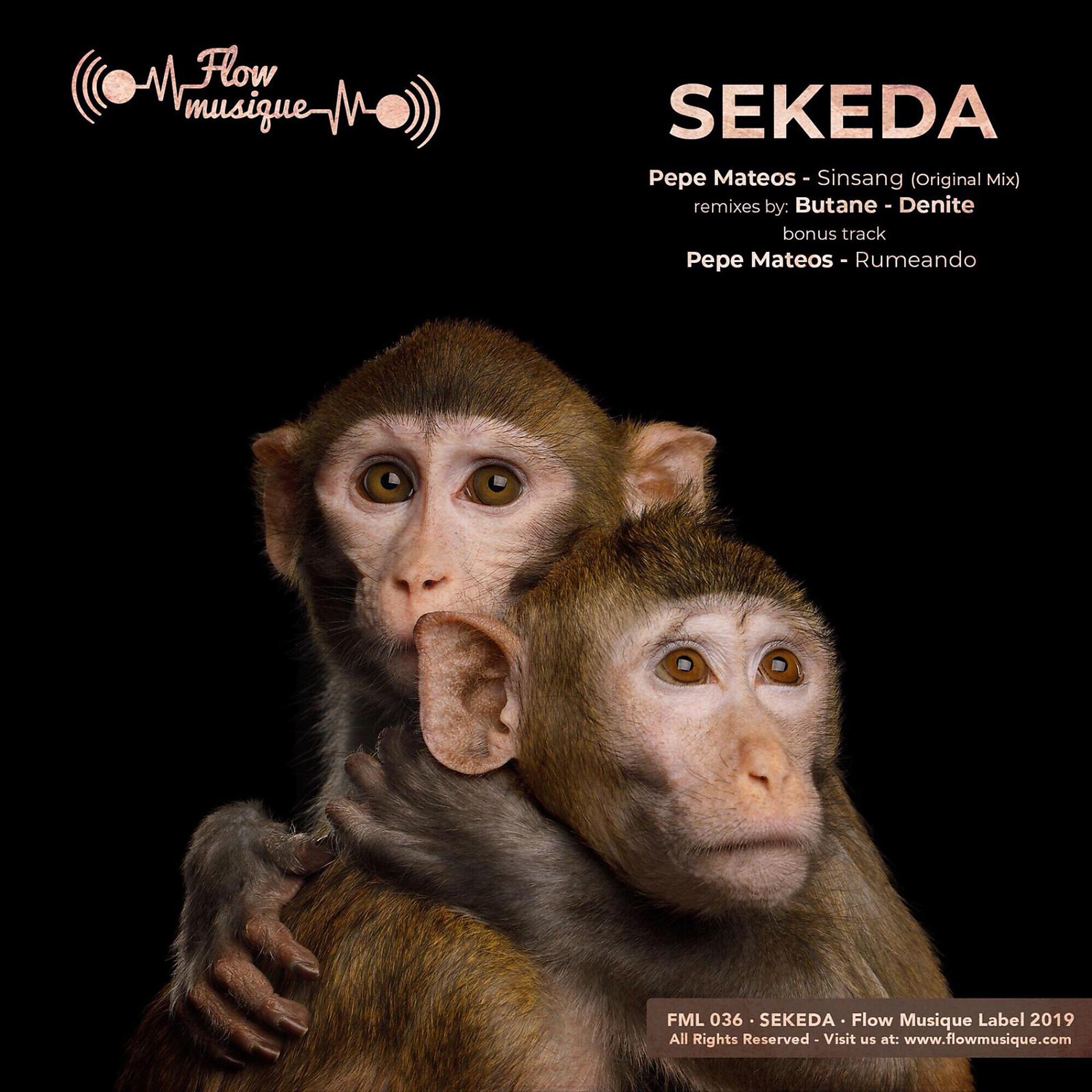 Постер альбома SEKEDA