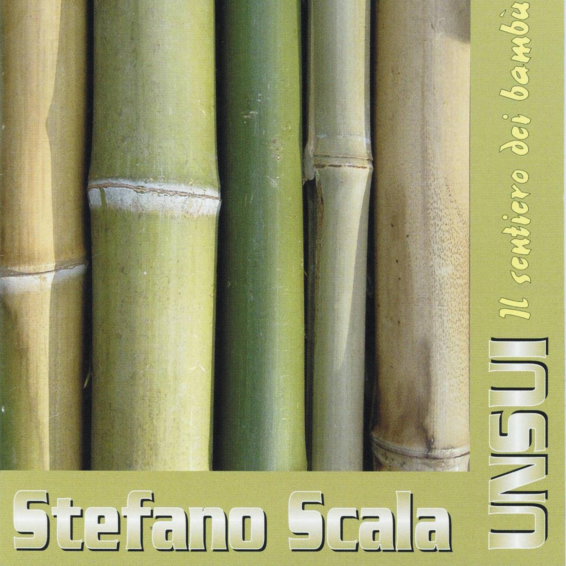 Постер альбома Unsui : Il sentiero dei bambù