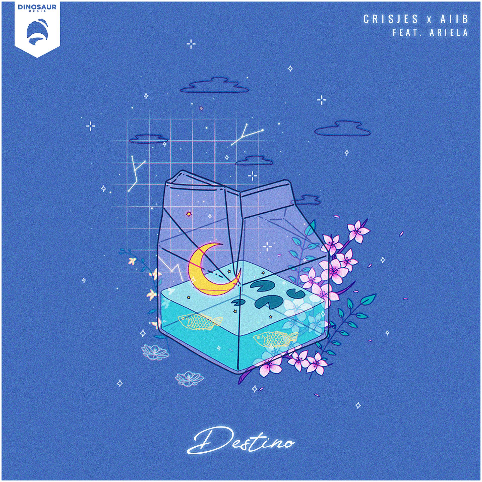 Постер альбома Destino (feat. Ariela)
