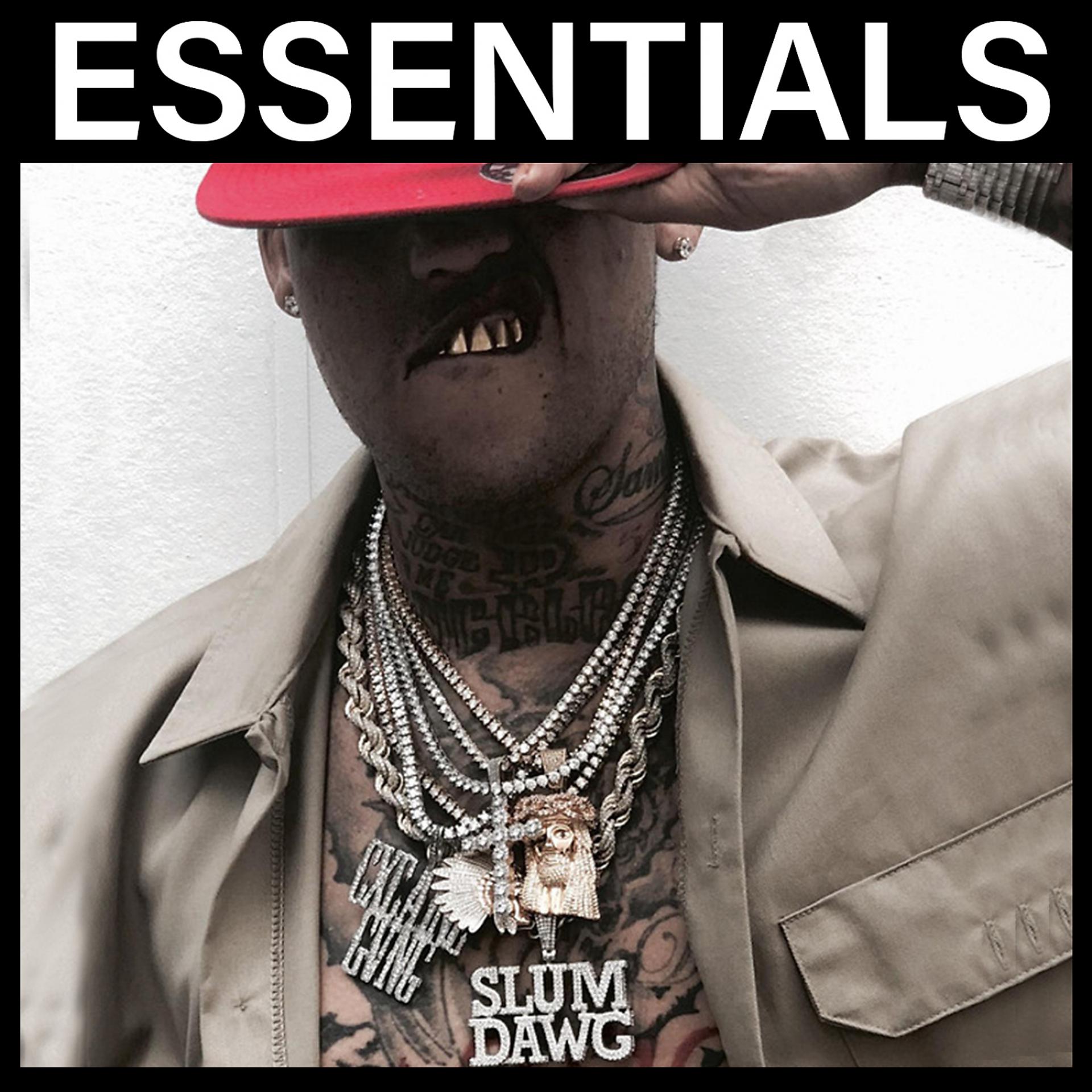 Постер альбома Essentials