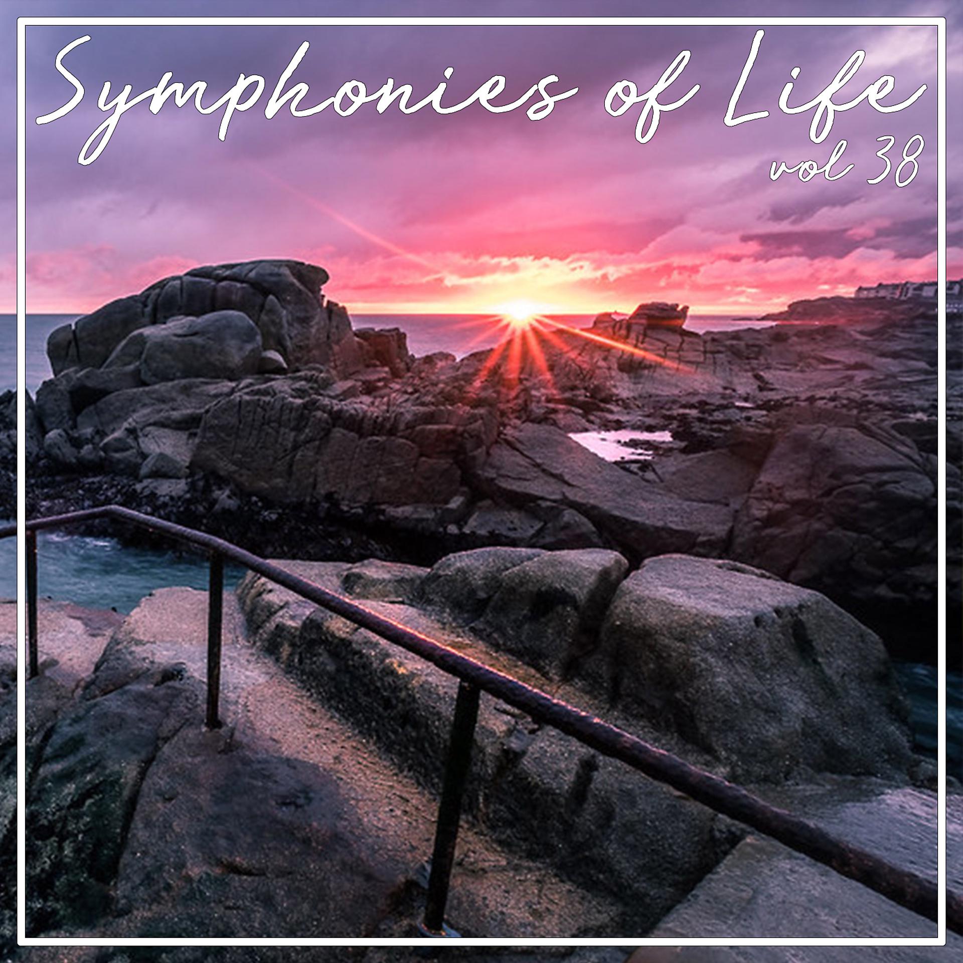 Постер альбома Symphonies of Life, Vol. 38 - Arien: Rinaldo, Giulio Cesare, Xerxes, Alcina