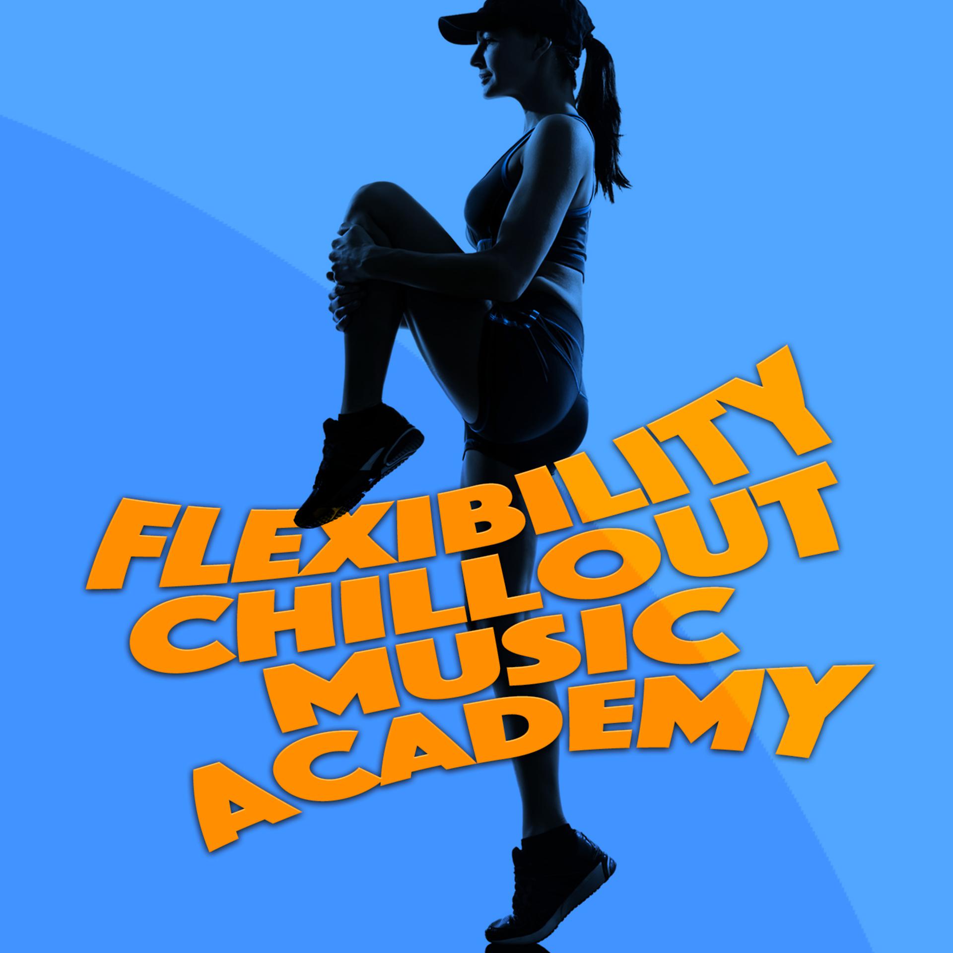 Постер альбома Flexibility Chillout Music Academy