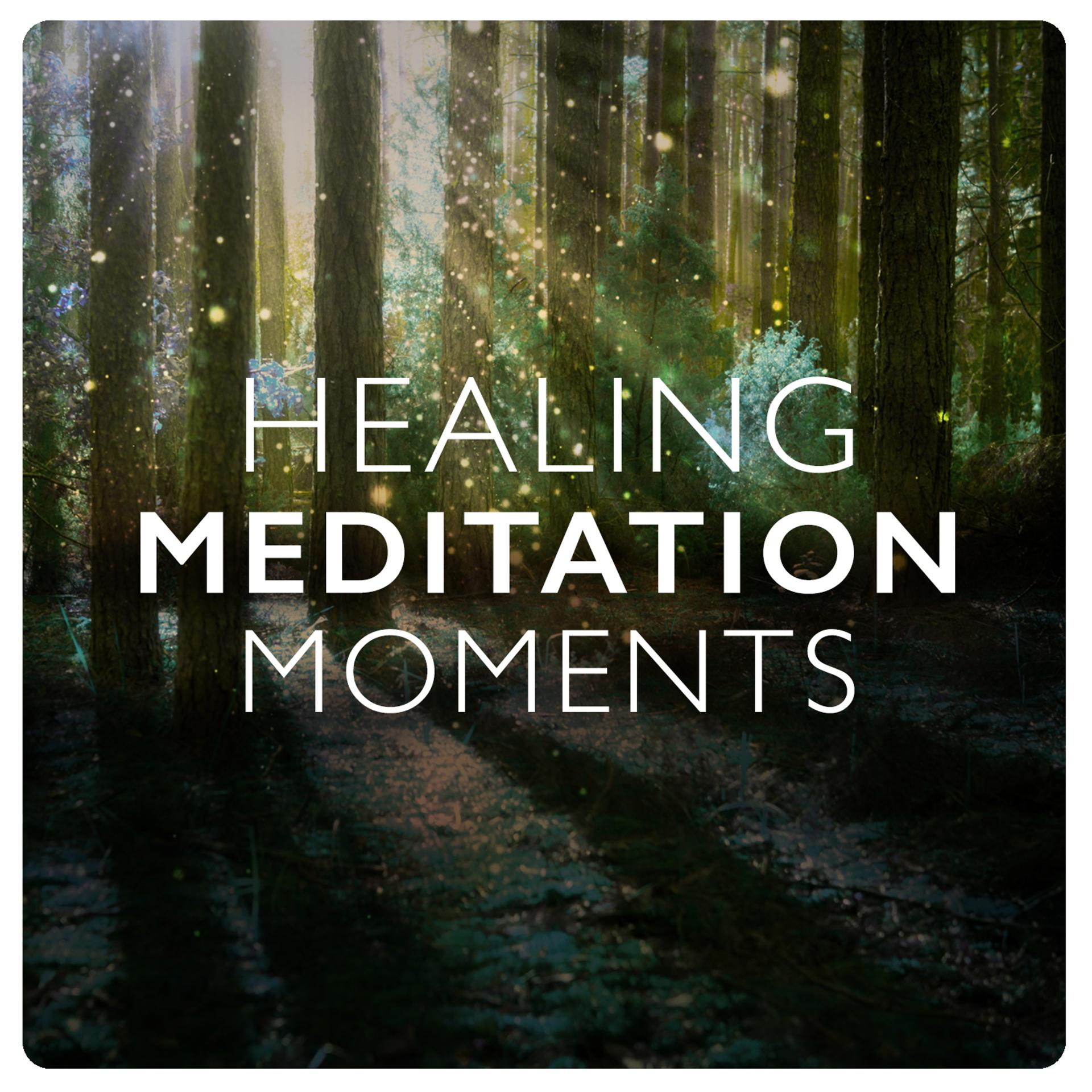 Постер альбома Healing Meditation Moments