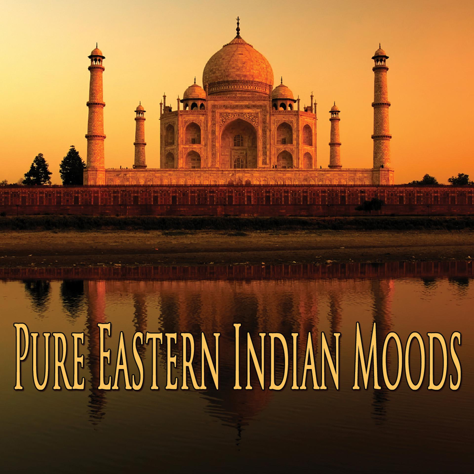 Постер альбома Pure Eastern Indian Moods