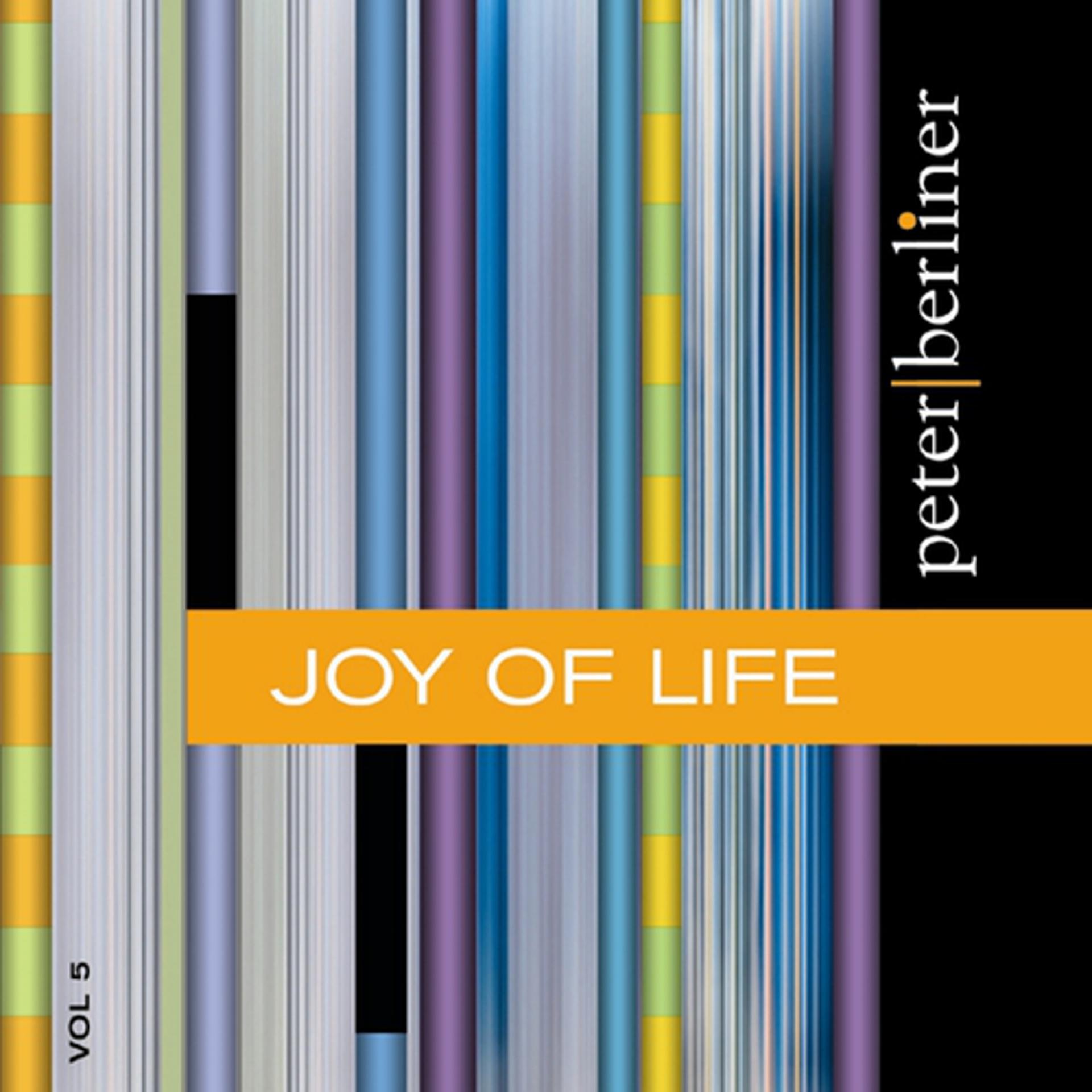 Постер альбома Joy of Life