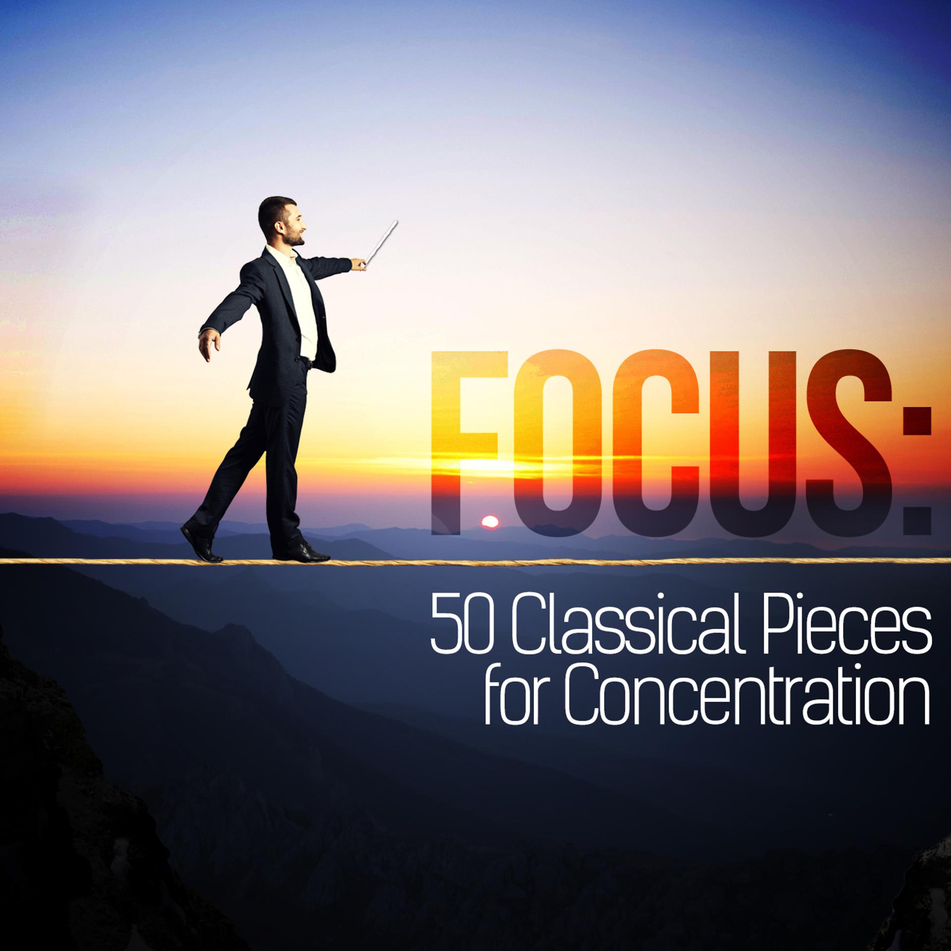 Постер альбома Focus: 50 Classical Pieces for Concentration