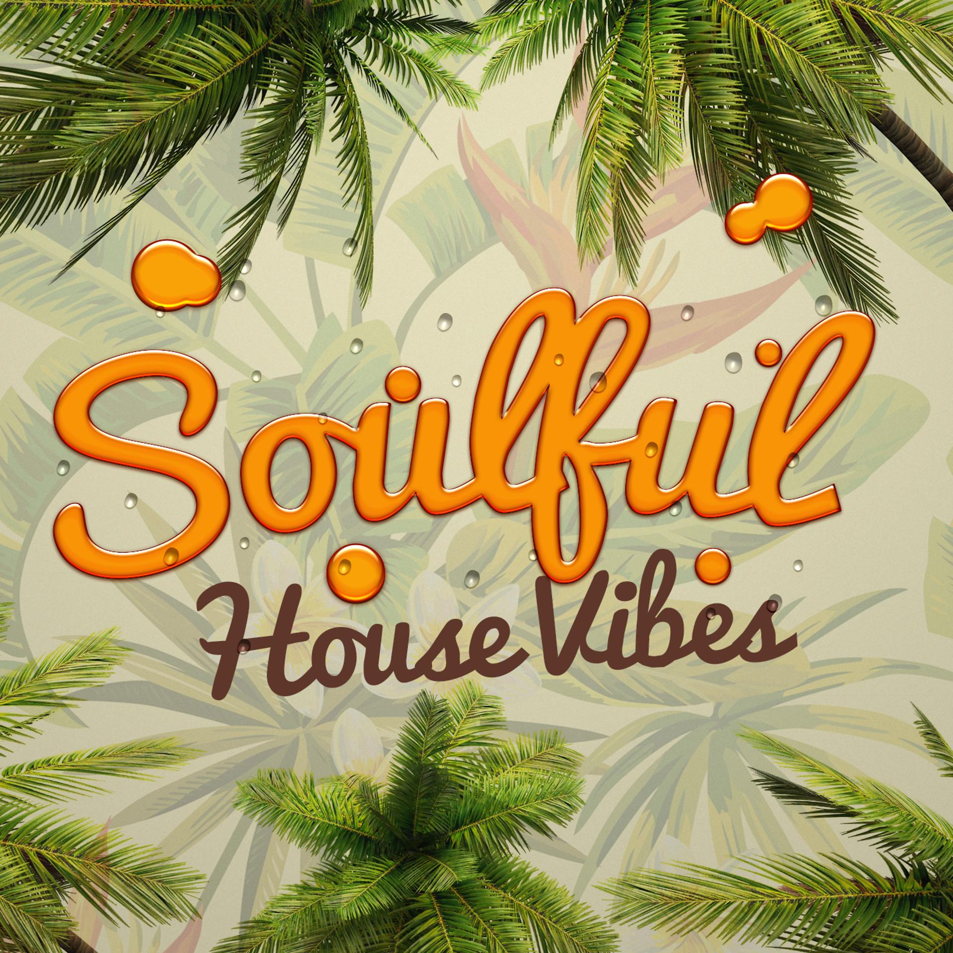 Постер альбома Soulful House Vibes