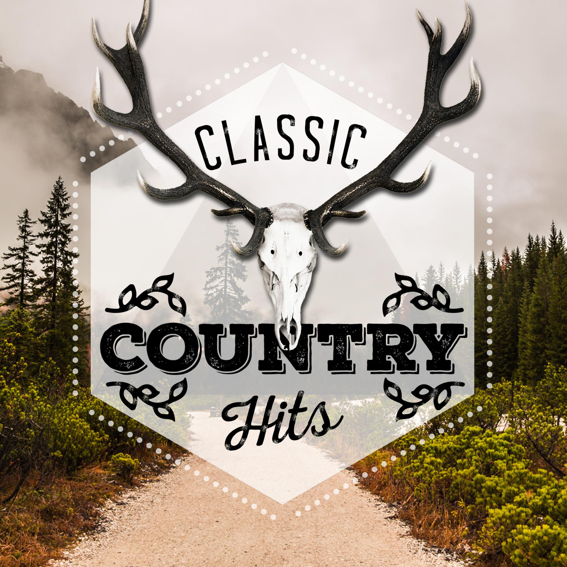 Постер альбома Classic Country Hits