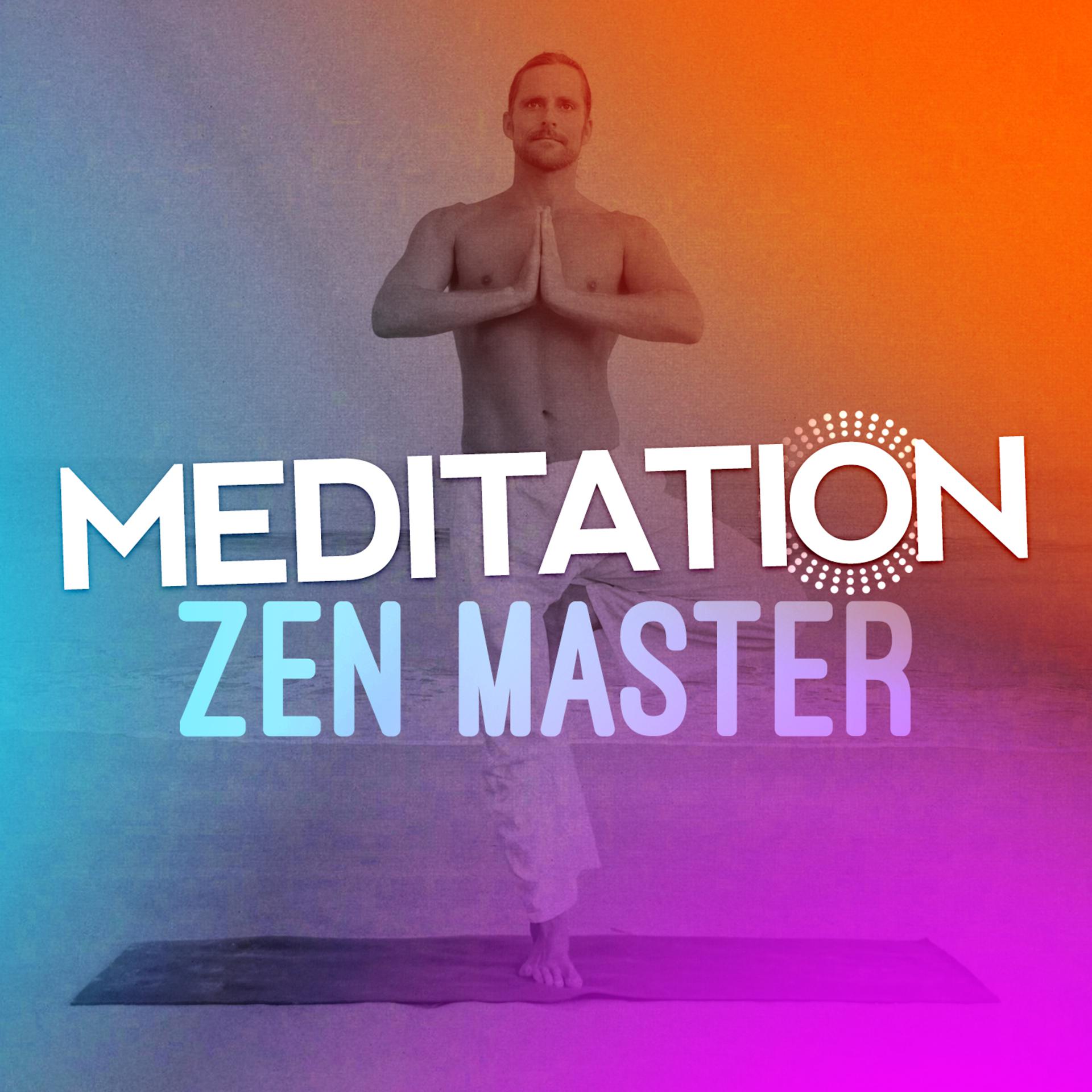 Постер альбома Meditation Zen Master