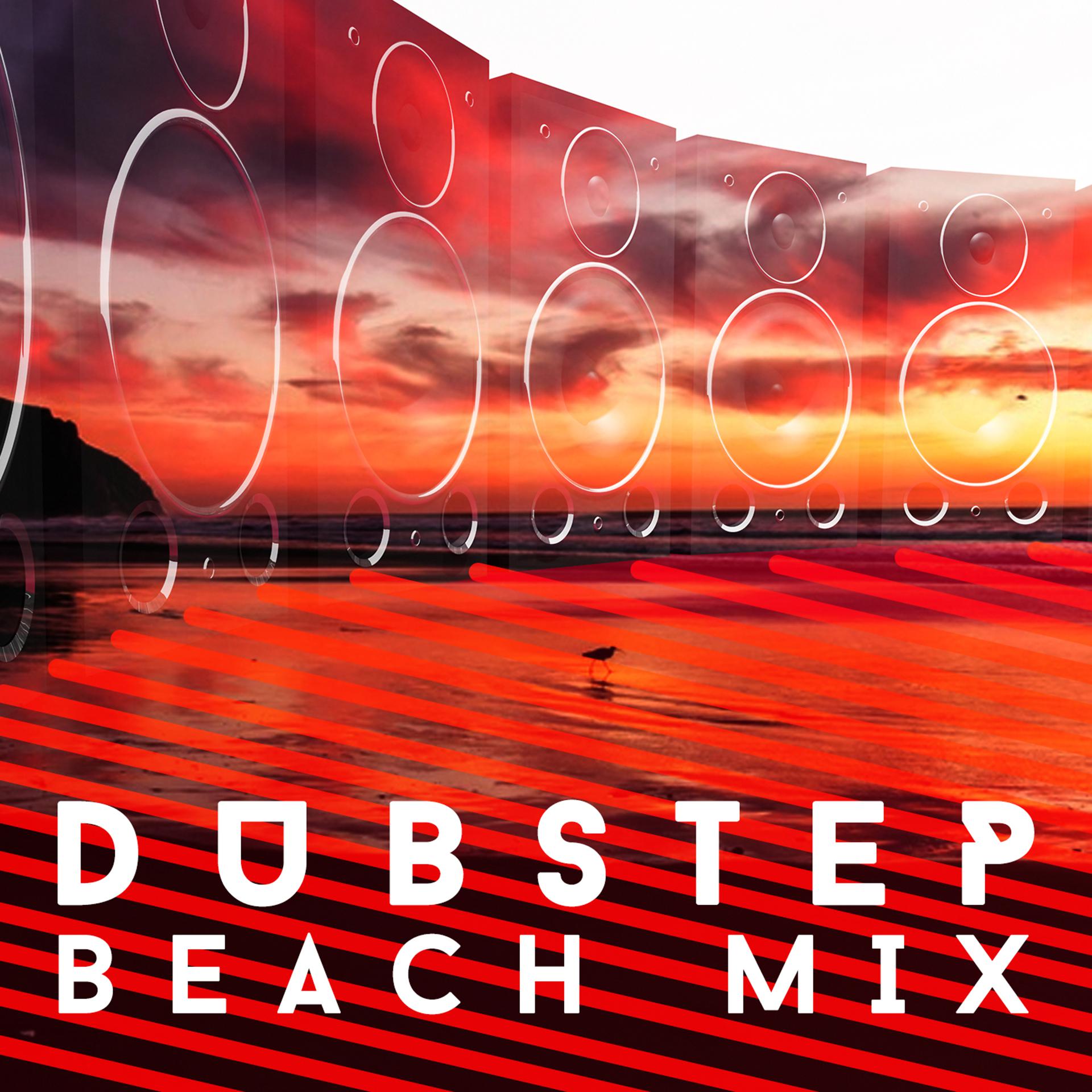Постер альбома Dubstep Beach Mix