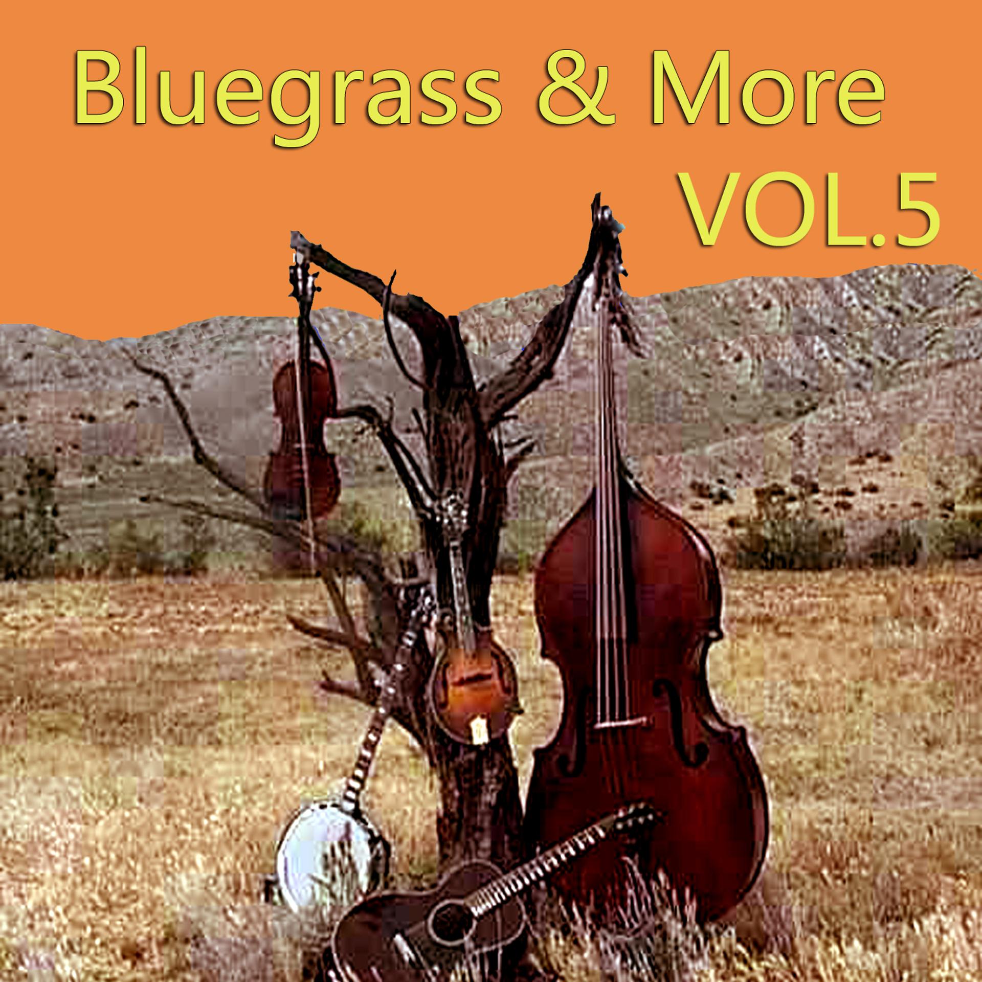 Постер альбома Bluegrass & More, Vol. 5