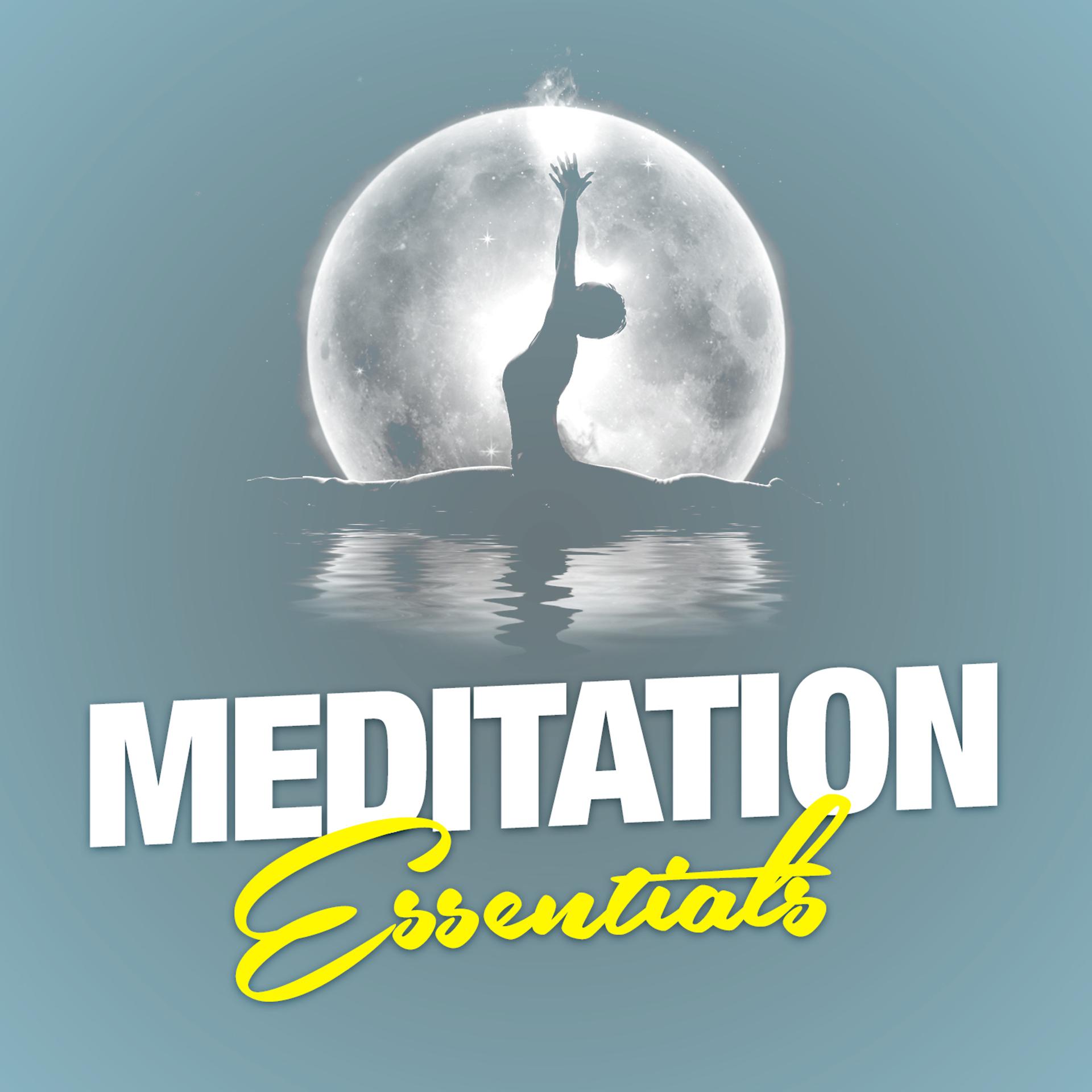 Постер альбома Meditation Essentials
