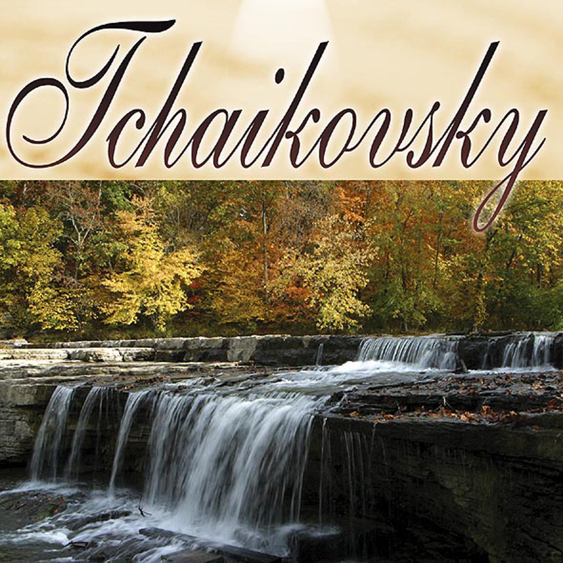 Постер альбома Musica Clasica - Peter Tchaikovsky