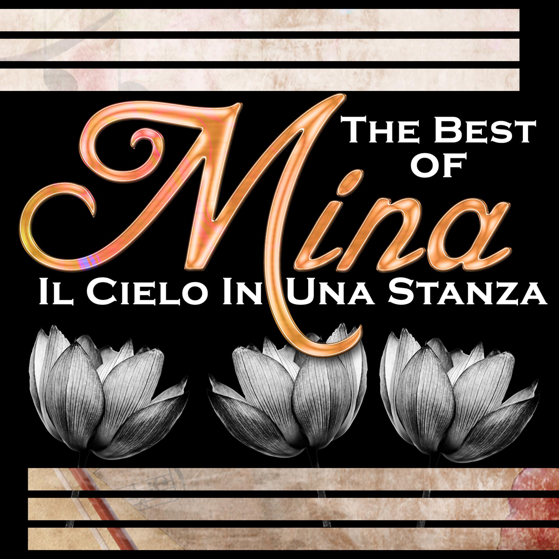 Постер альбома Il cielo in una stanza - The Best of Mina