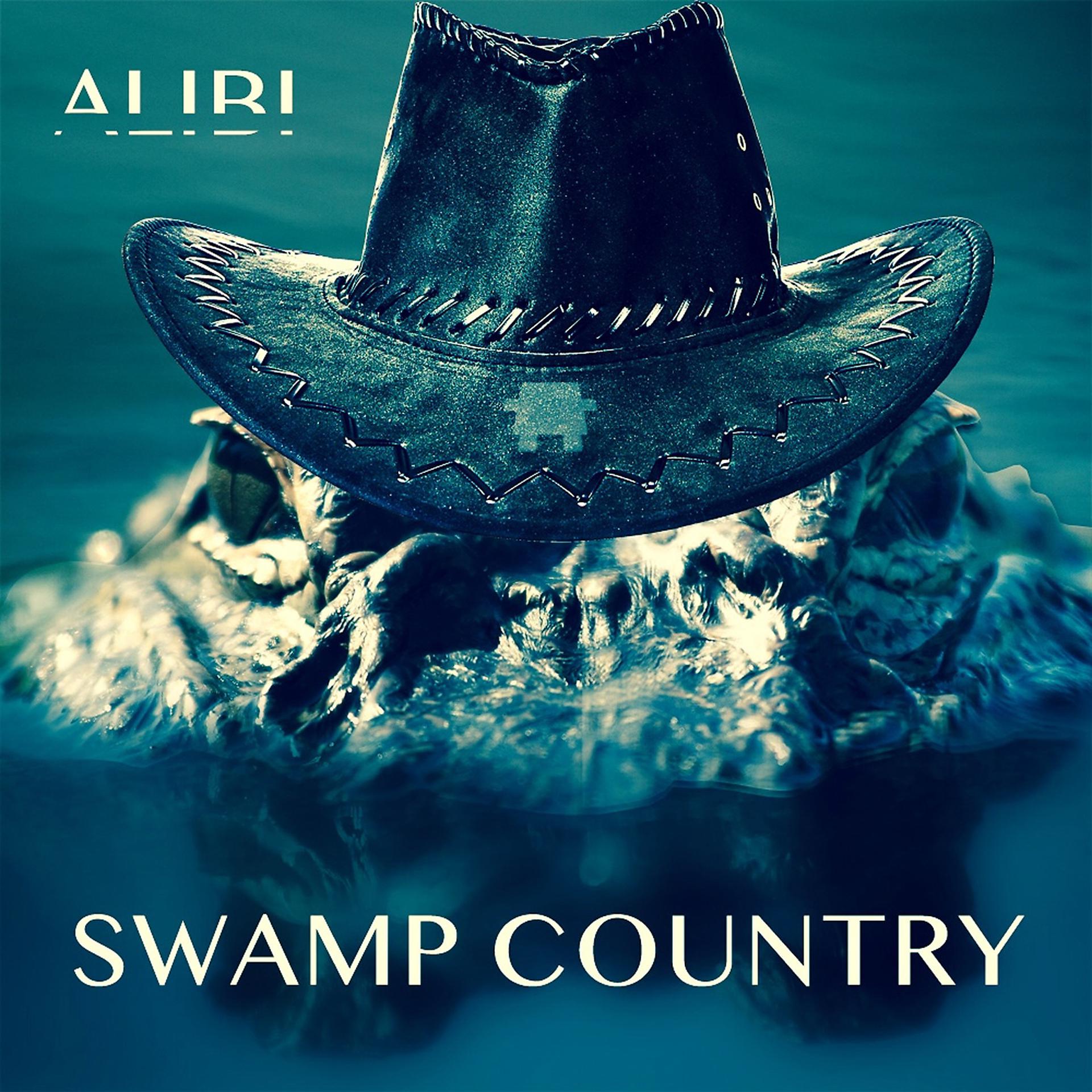 Постер альбома Swamp Country