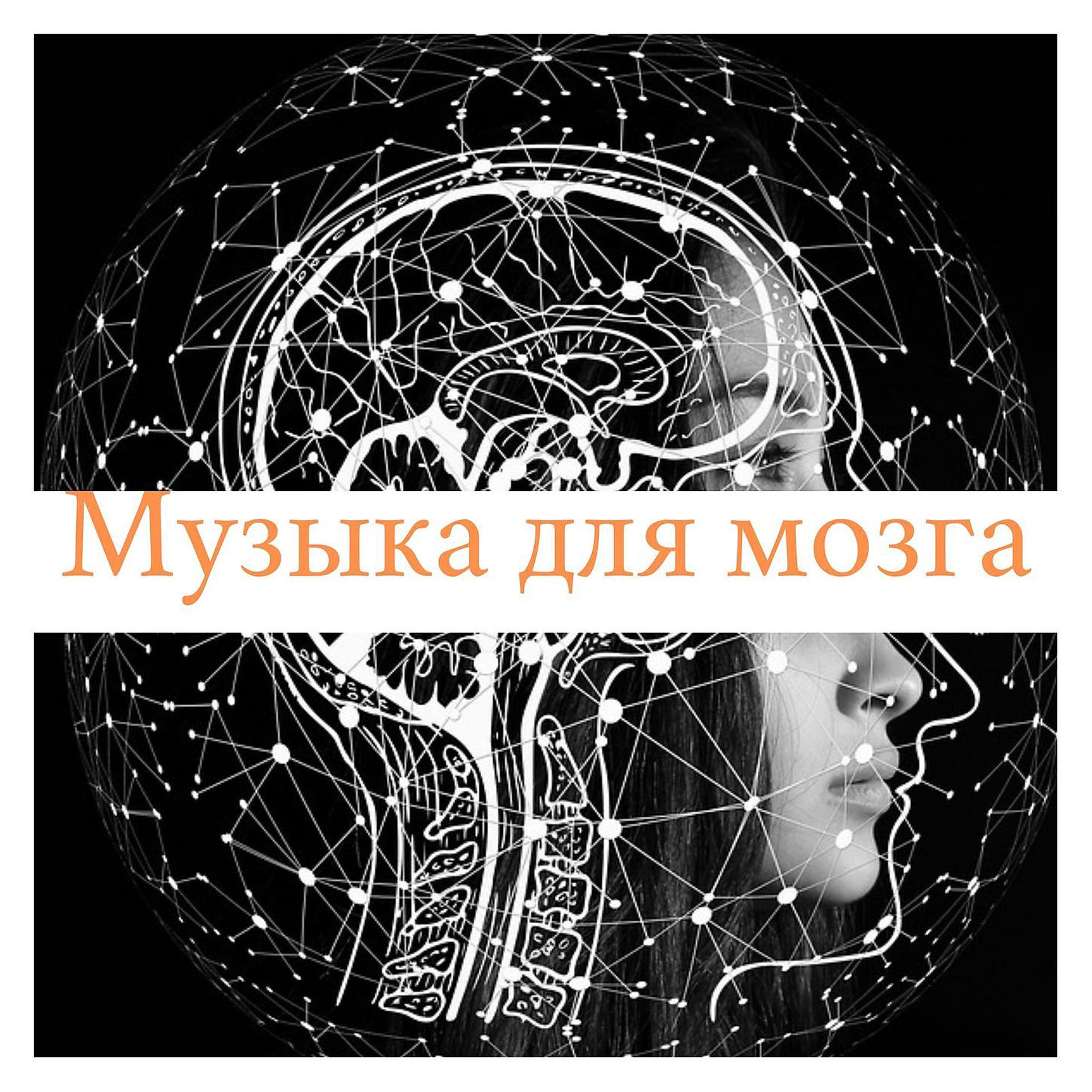 Музыка для мозга лечебная слушать. Музыка и мозг. Минусы музыки для мозга. Youtube Music музыка Meladze.