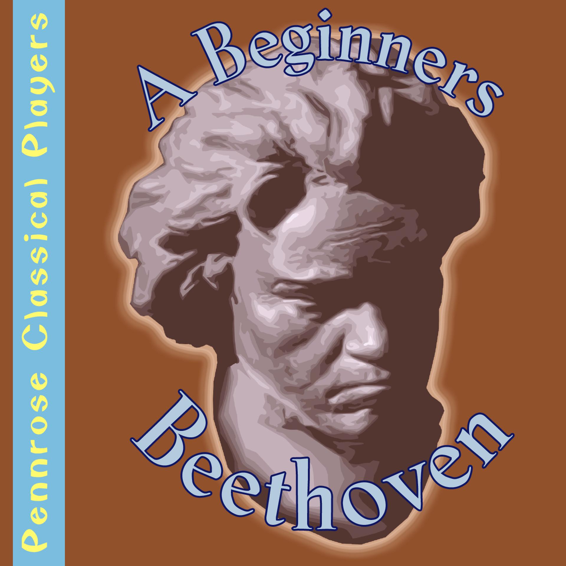 Постер альбома A Beginners Beethoven