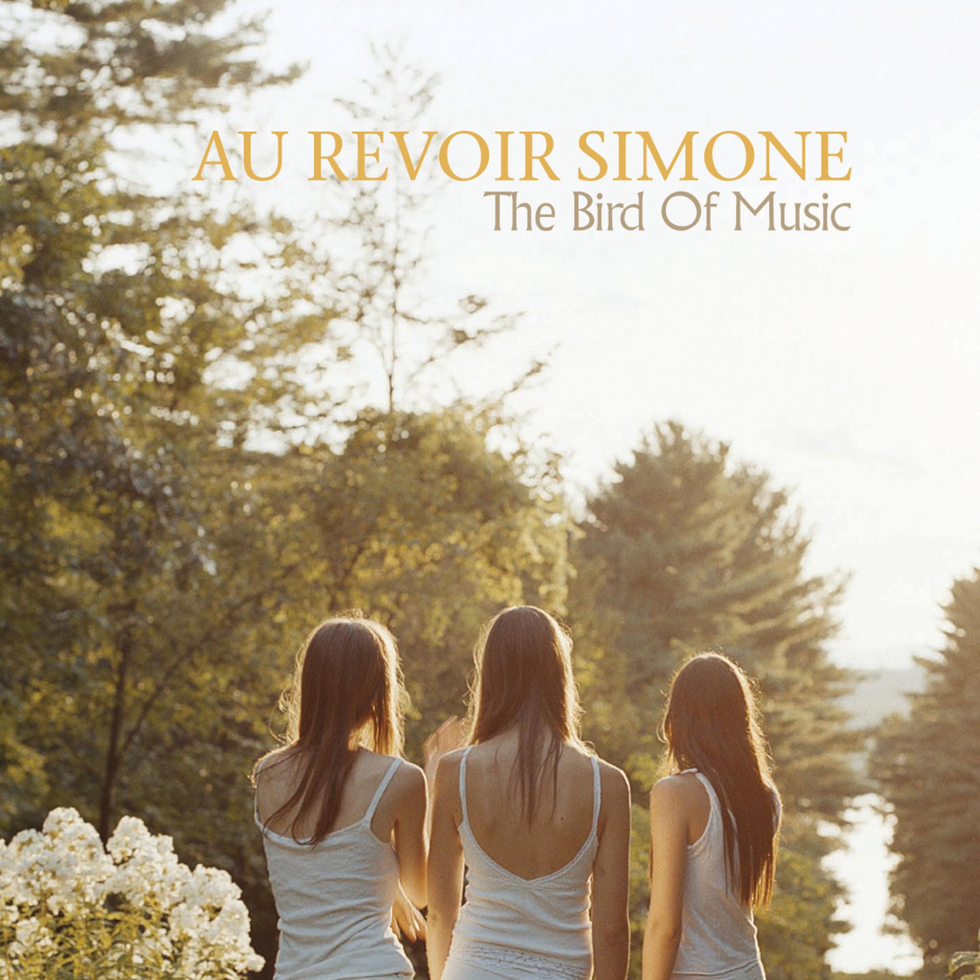 Постер альбома The Bird Of Music (Bonus Track)