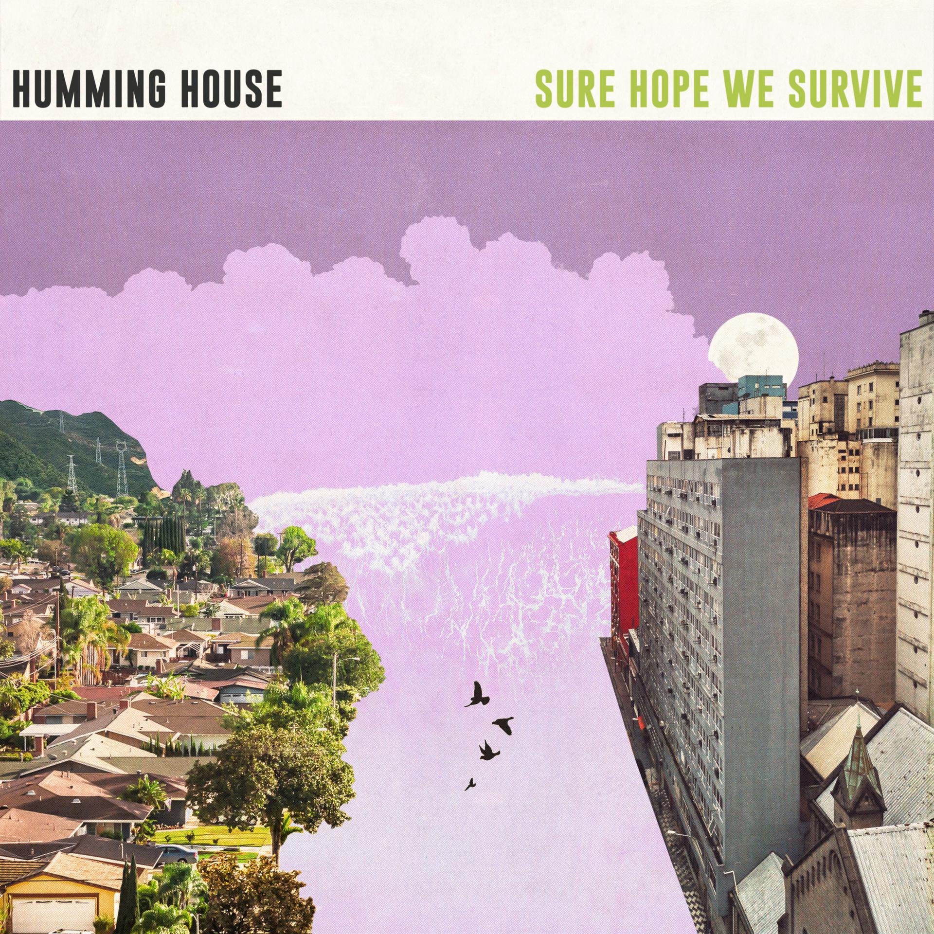 Постер альбома Sure Hope We Survive