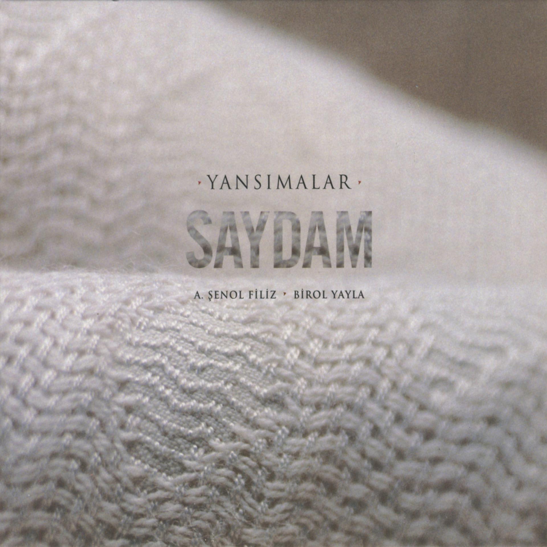 Постер альбома Saydam