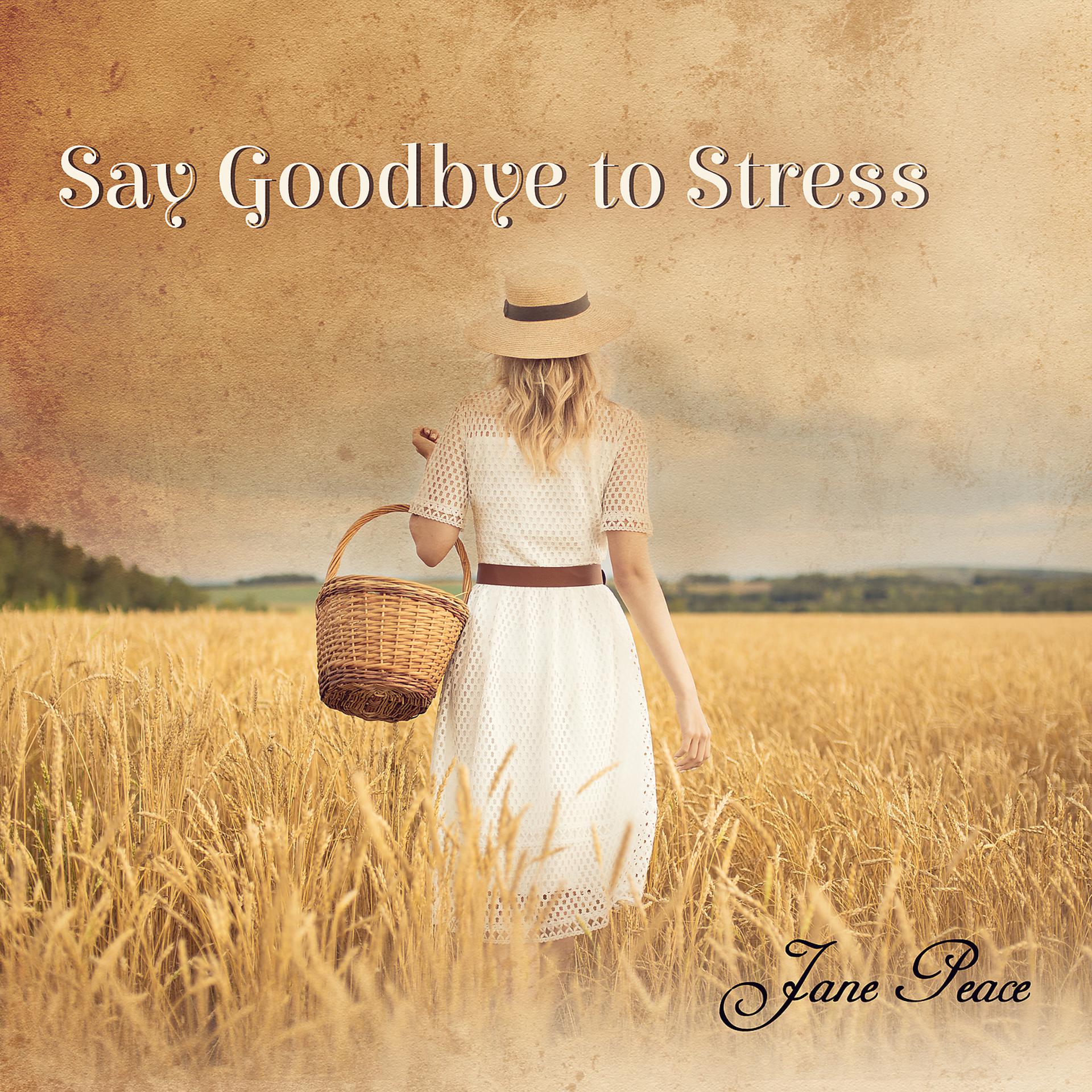 Постер альбома Say Goodbye to Stress