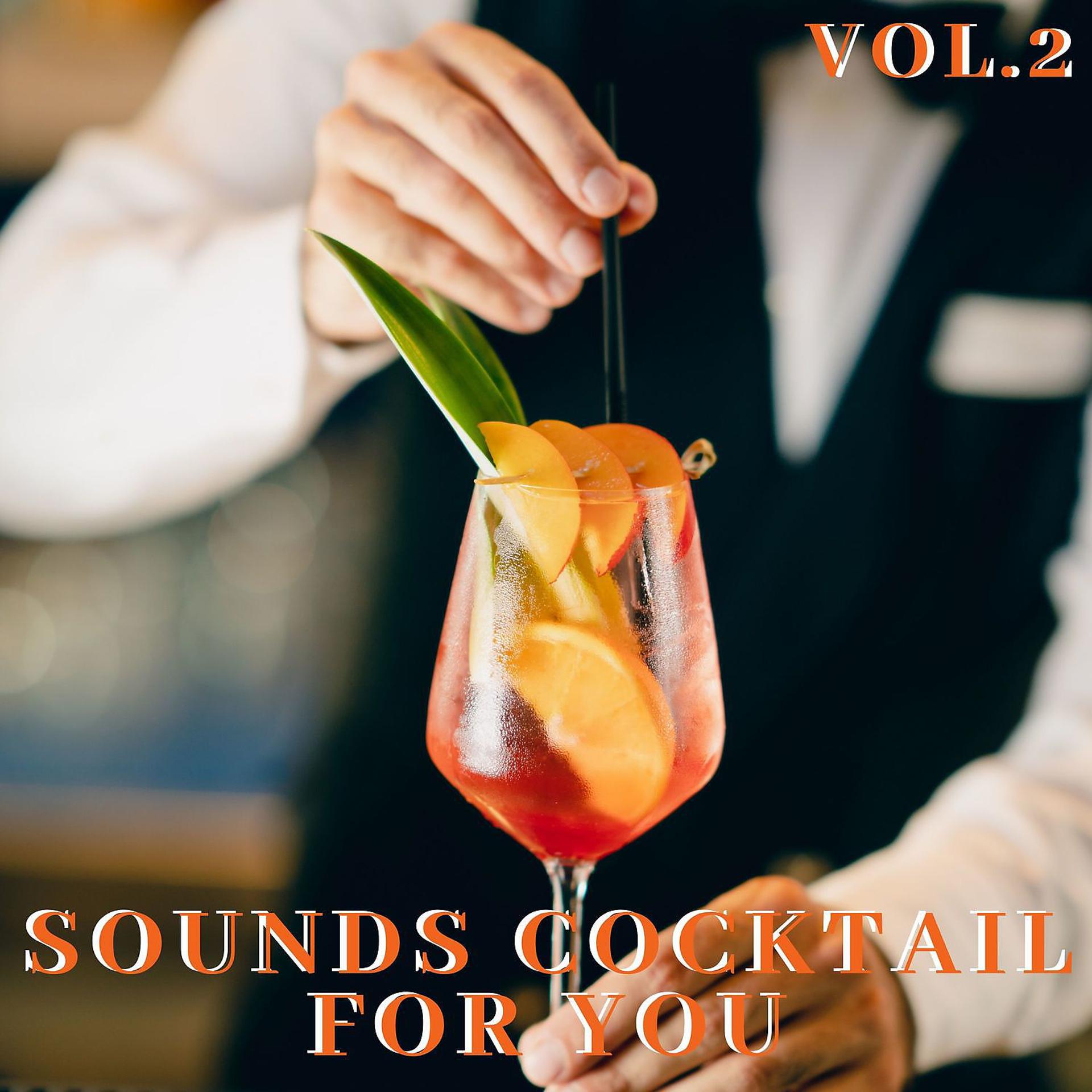 Постер альбома Sounds cocktail for you Vol.2