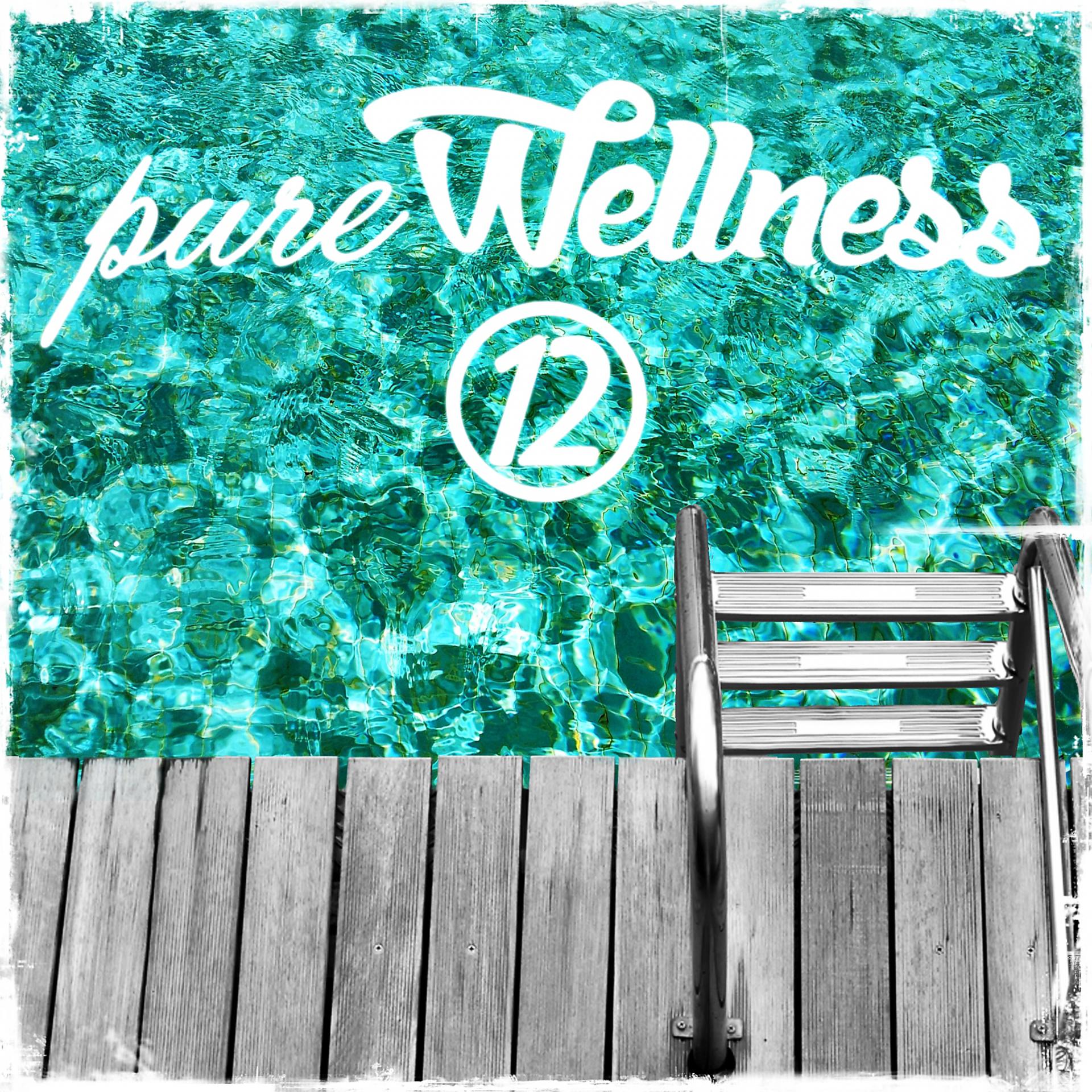 Постер альбома Pure Wellness, Vol. 12