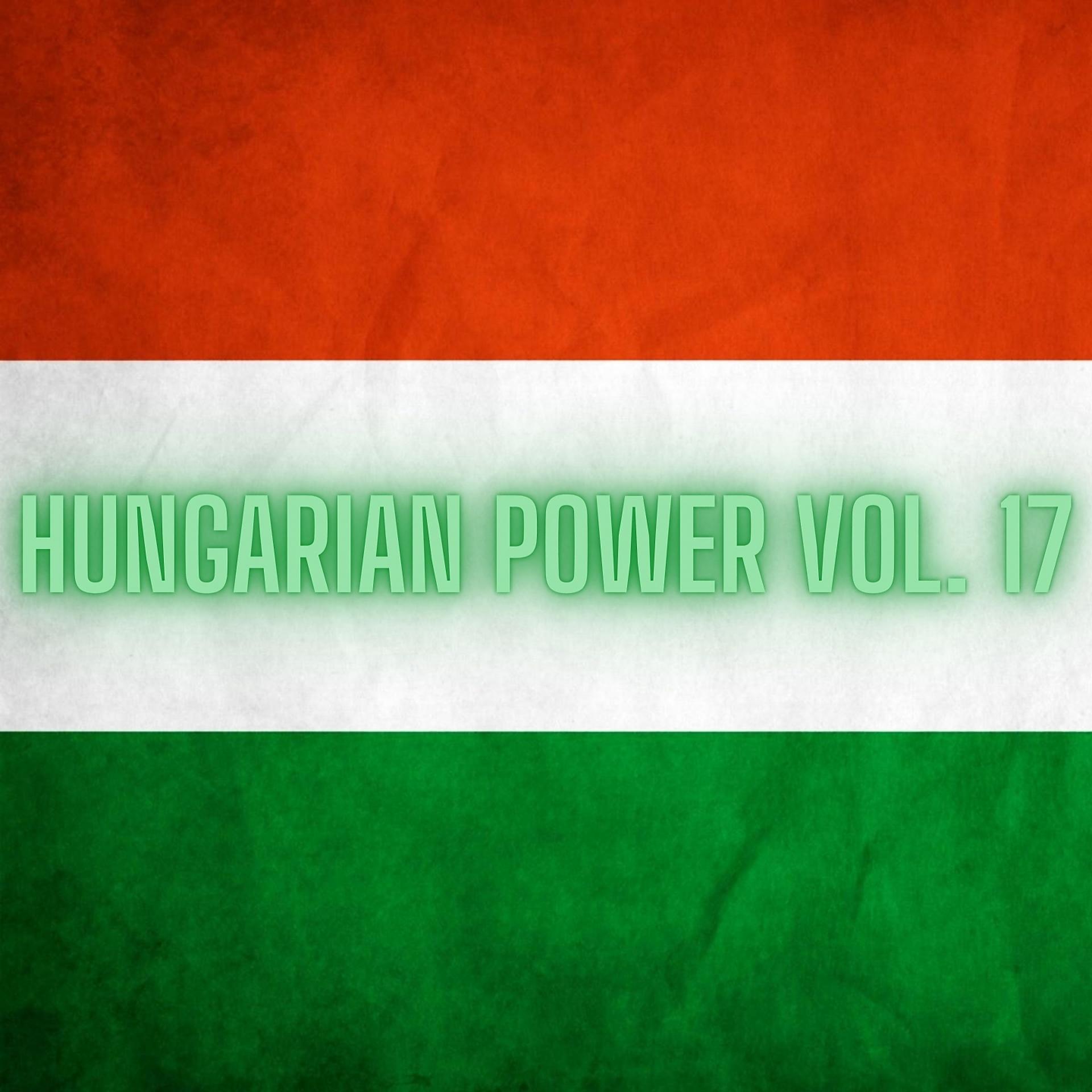 Постер альбома Hungarian Power Vol. 17